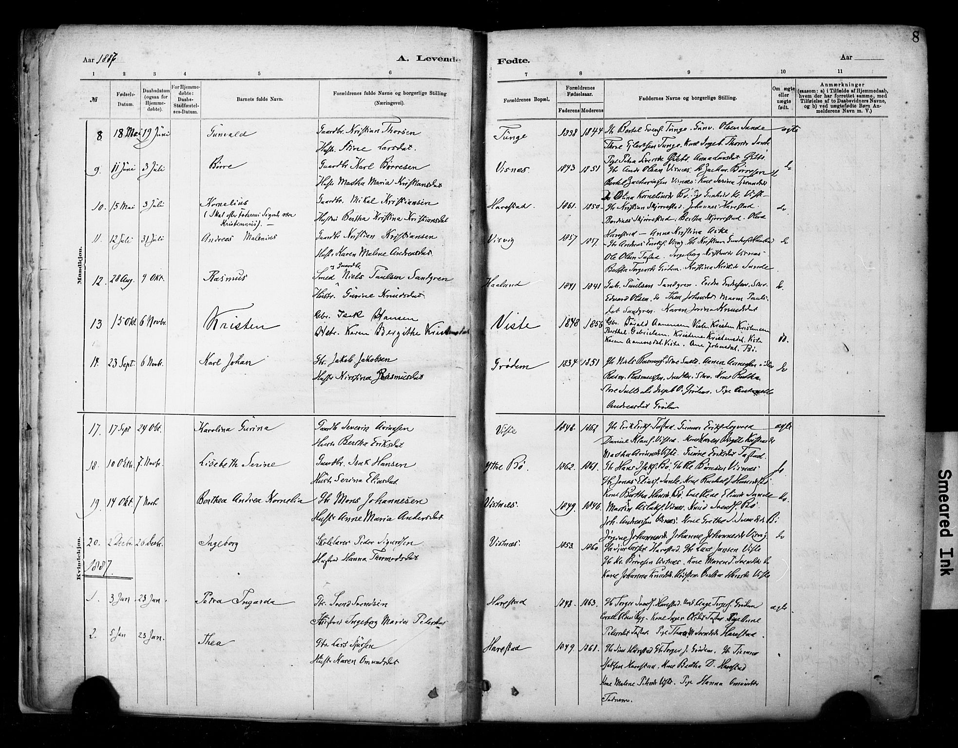 Hetland sokneprestkontor, AV/SAST-A-101826/30/30BA/L0009: Parish register (official) no. A 9, 1882-1918, p. 8