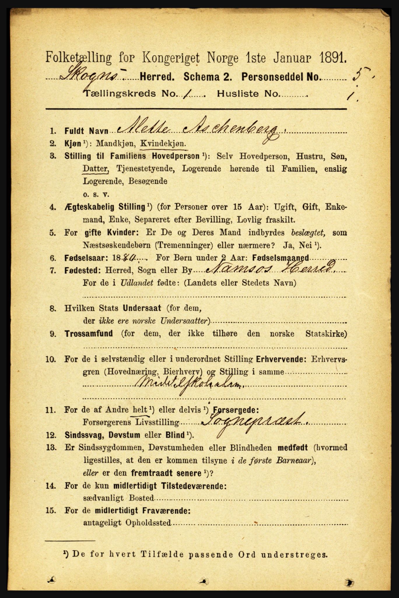 RA, 1891 census for 1719 Skogn, 1891, p. 151