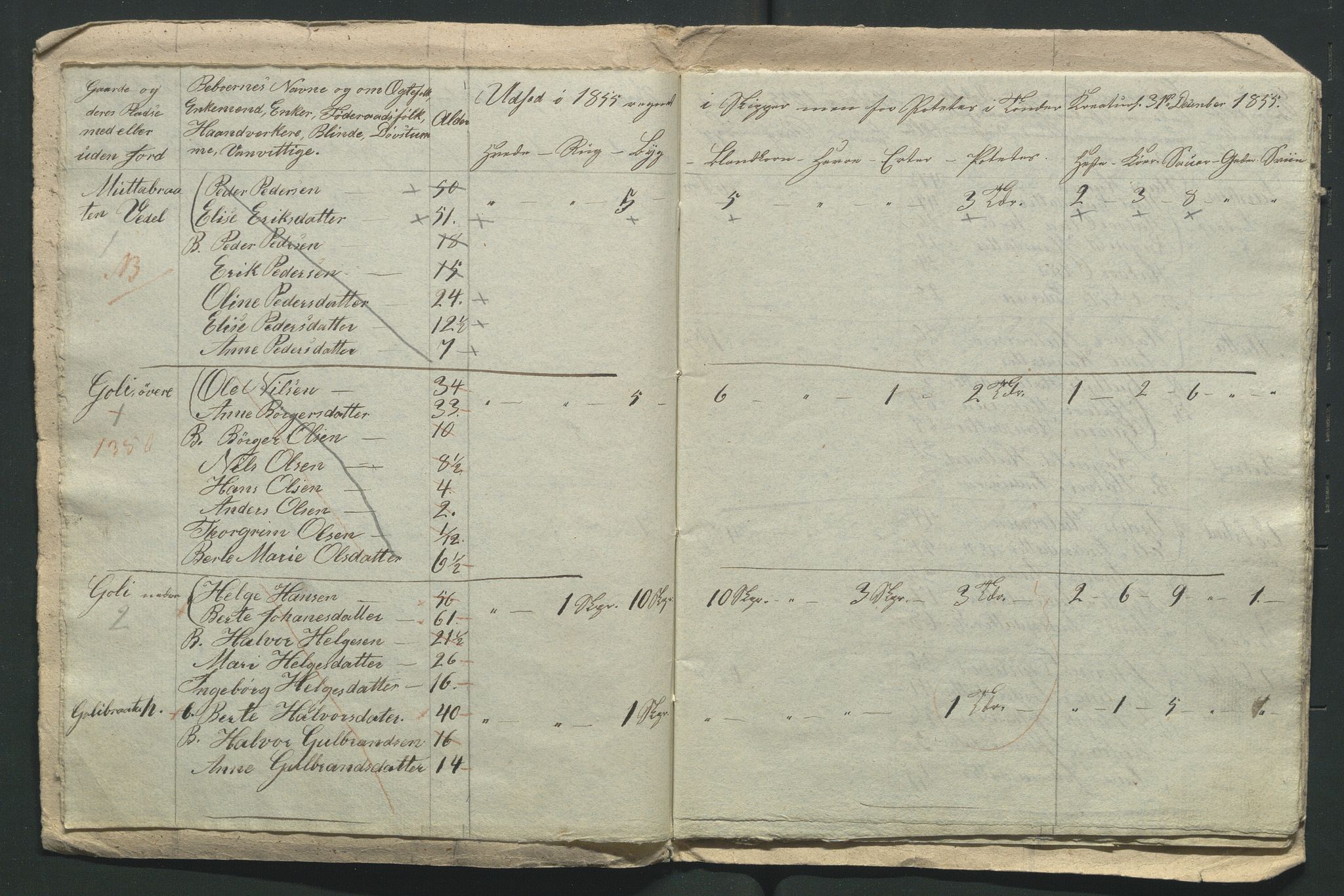 SAH, 1855 Census for Jevnaker parish, 1855, p. 196