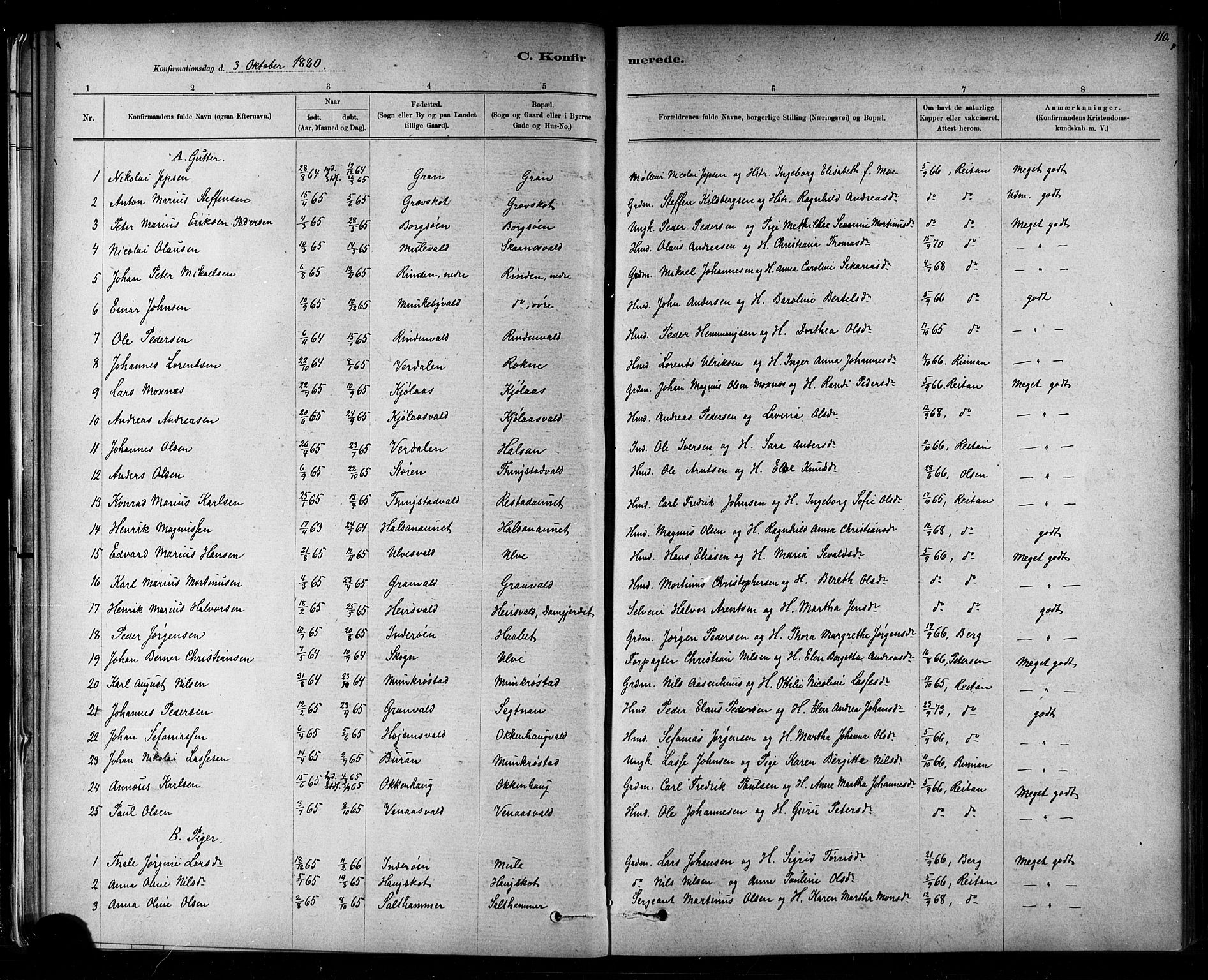 Ministerialprotokoller, klokkerbøker og fødselsregistre - Nord-Trøndelag, SAT/A-1458/721/L0208: Parish register (copy) no. 721C01, 1880-1917, p. 110