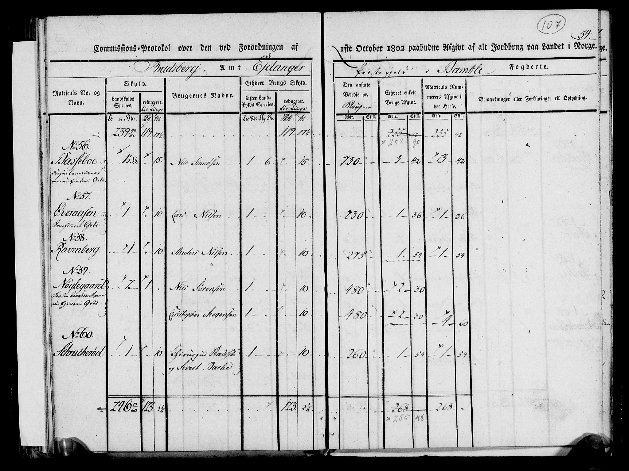 Rentekammeret inntil 1814, Realistisk ordnet avdeling, AV/RA-EA-4070/N/Ne/Nea/L0068: og 0069: Nedre Telemarken og Bamble fogderi. Kommisjonsprotokoll for Drangedal, Sannidal, Bamble og Eidanger prestegjeld., 1803, p. 113