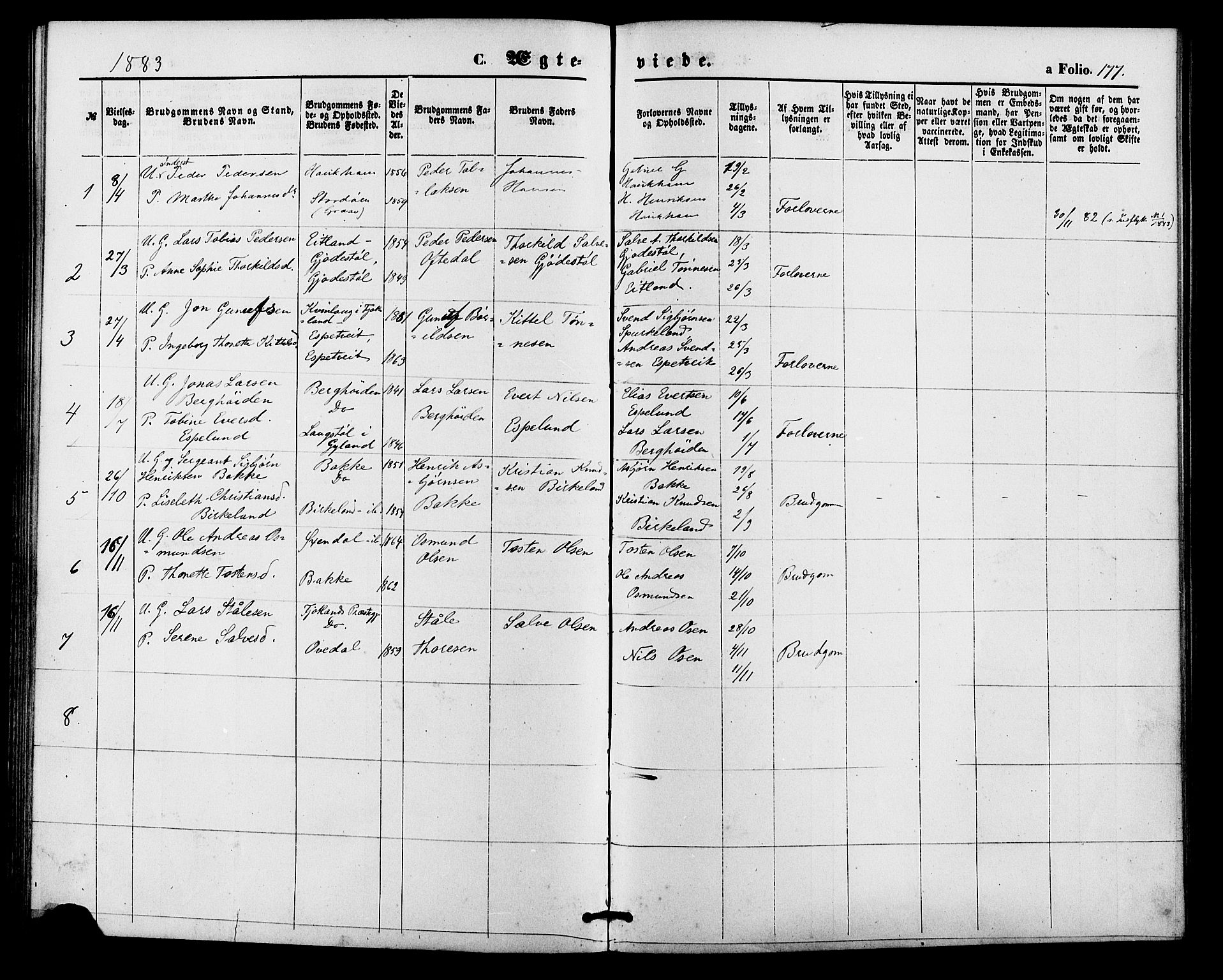 Bakke sokneprestkontor, SAK/1111-0002/F/Fa/Faa/L0007: Parish register (official) no. A 7, 1877-1886, p. 177