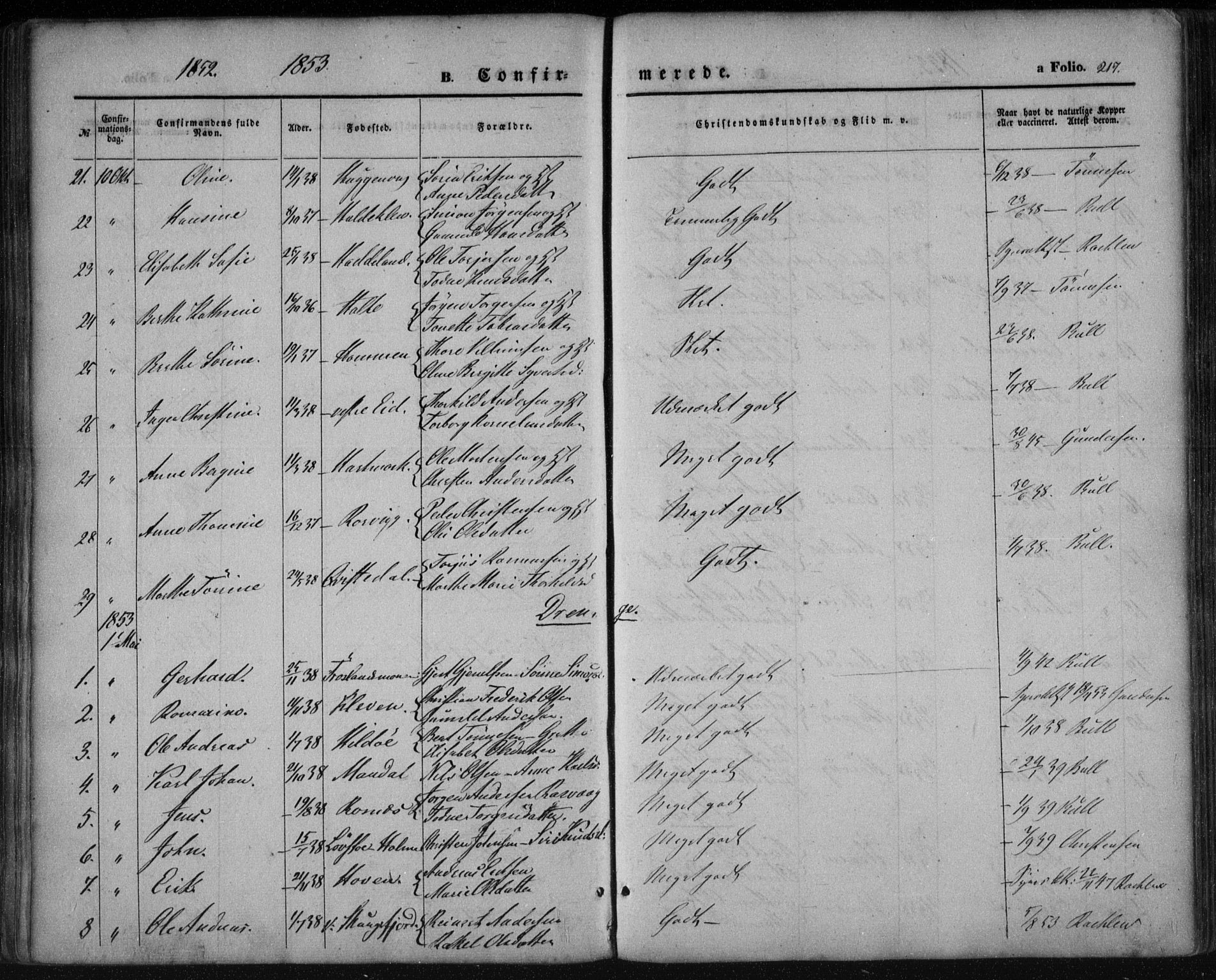 Mandal sokneprestkontor, SAK/1111-0030/F/Fa/Faa/L0013: Parish register (official) no. A 13, 1847-1859, p. 217