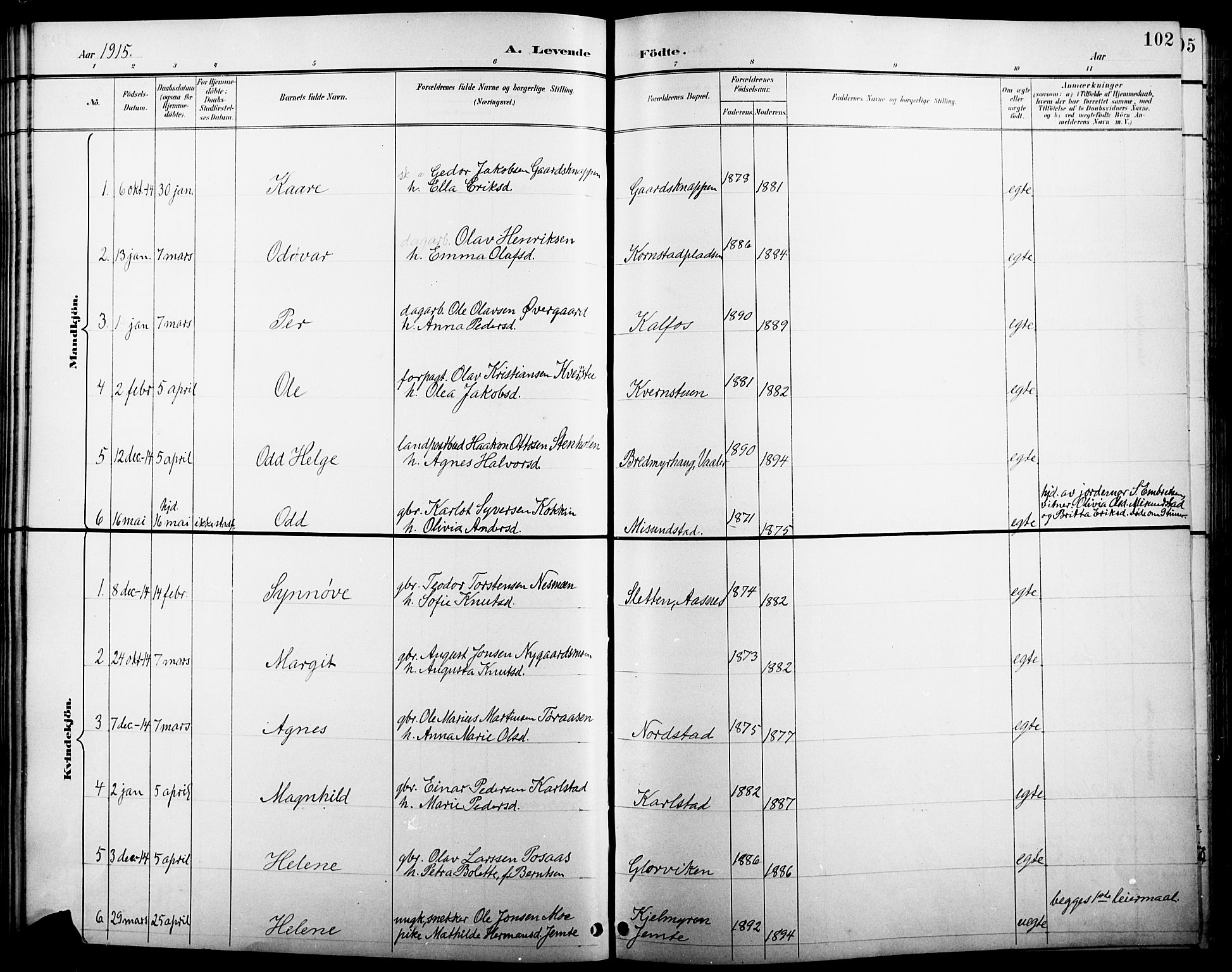 Åsnes prestekontor, AV/SAH-PREST-042/H/Ha/Hab/L0005: Parish register (copy) no. 5, 1895-1920, p. 102