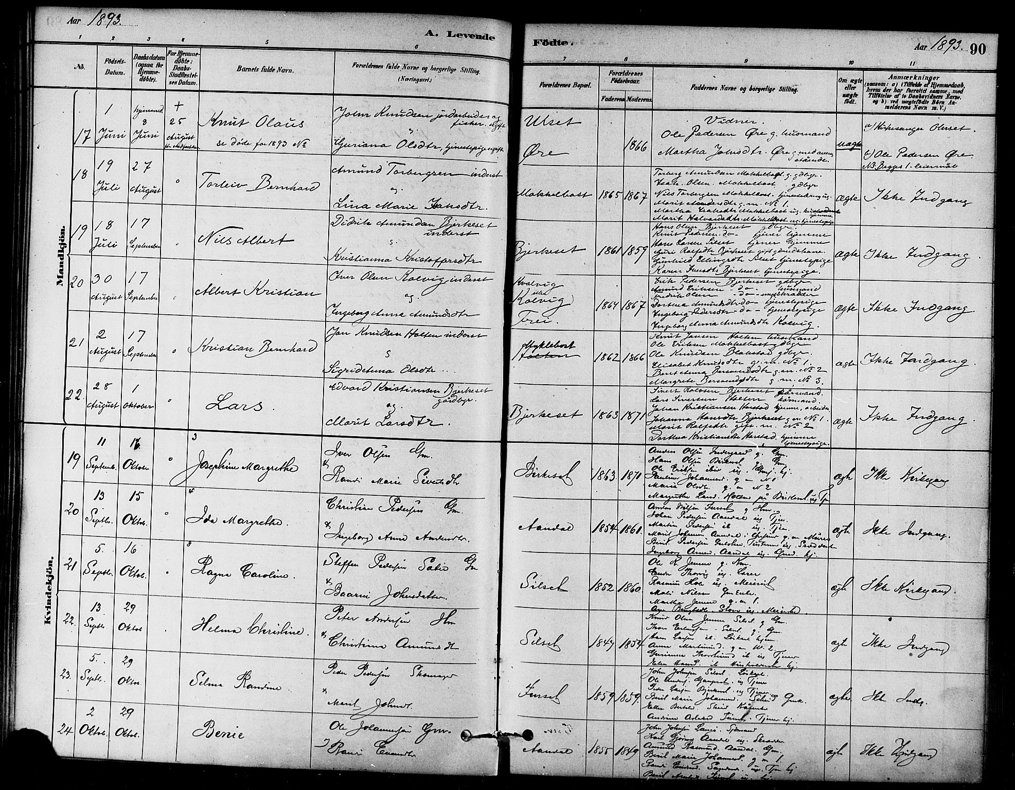 Ministerialprotokoller, klokkerbøker og fødselsregistre - Møre og Romsdal, AV/SAT-A-1454/584/L0967: Parish register (official) no. 584A07, 1879-1894, p. 90