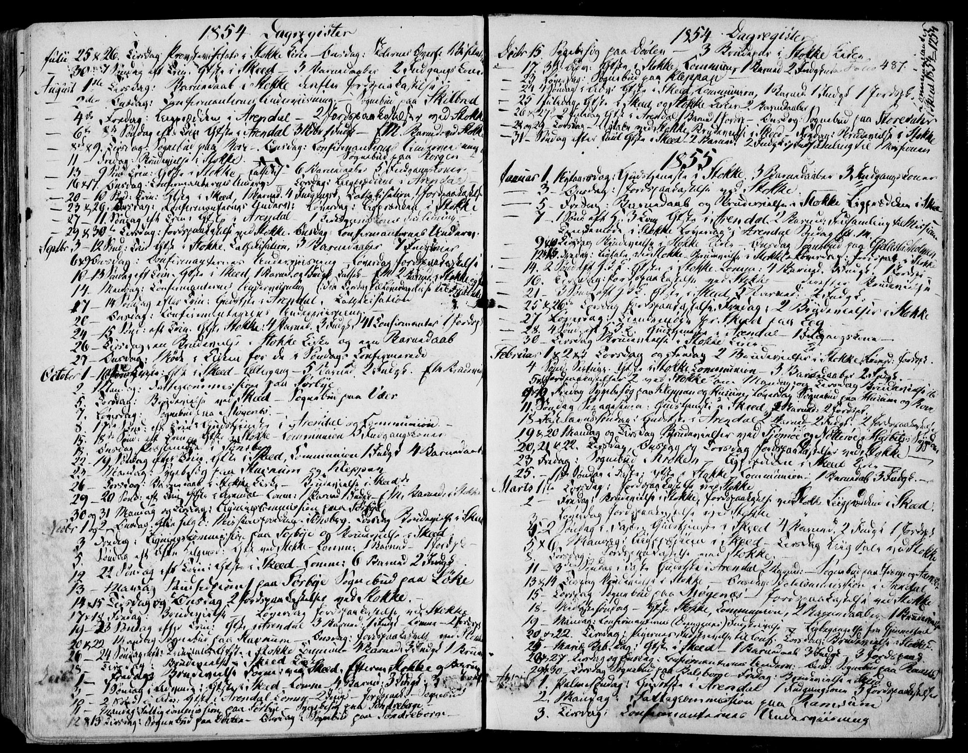 Stokke kirkebøker, AV/SAKO-A-320/F/Fa/L0007: Parish register (official) no. I 7, 1844-1857, p. 487