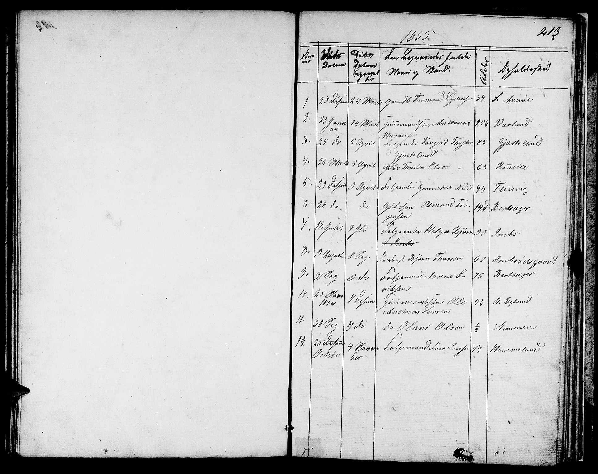 Høgsfjord sokneprestkontor, SAST/A-101624/H/Ha/Hab/L0001: Parish register (copy) no. B 1, 1855-1885, p. 213