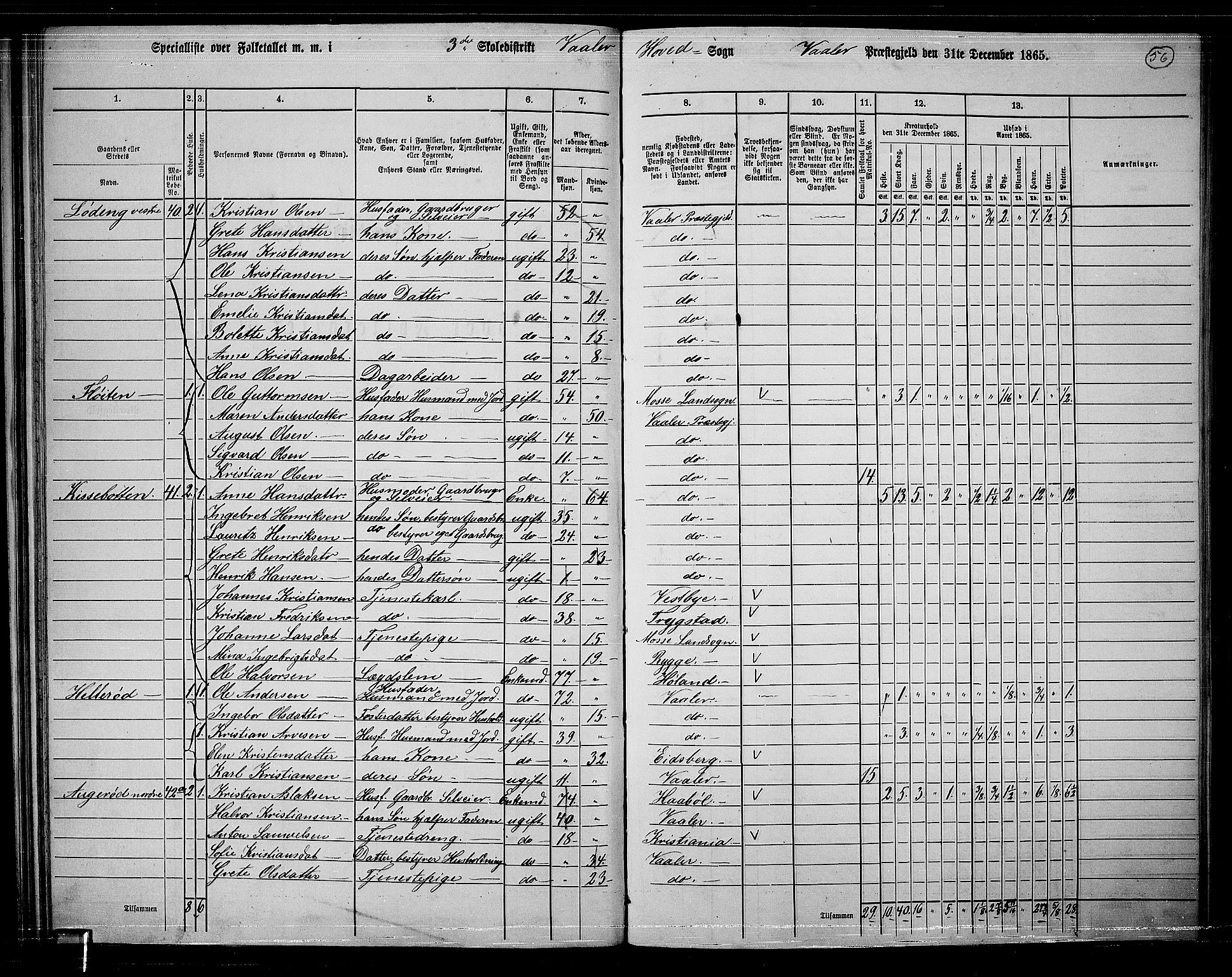 RA, 1865 census for Våler, 1865, p. 51