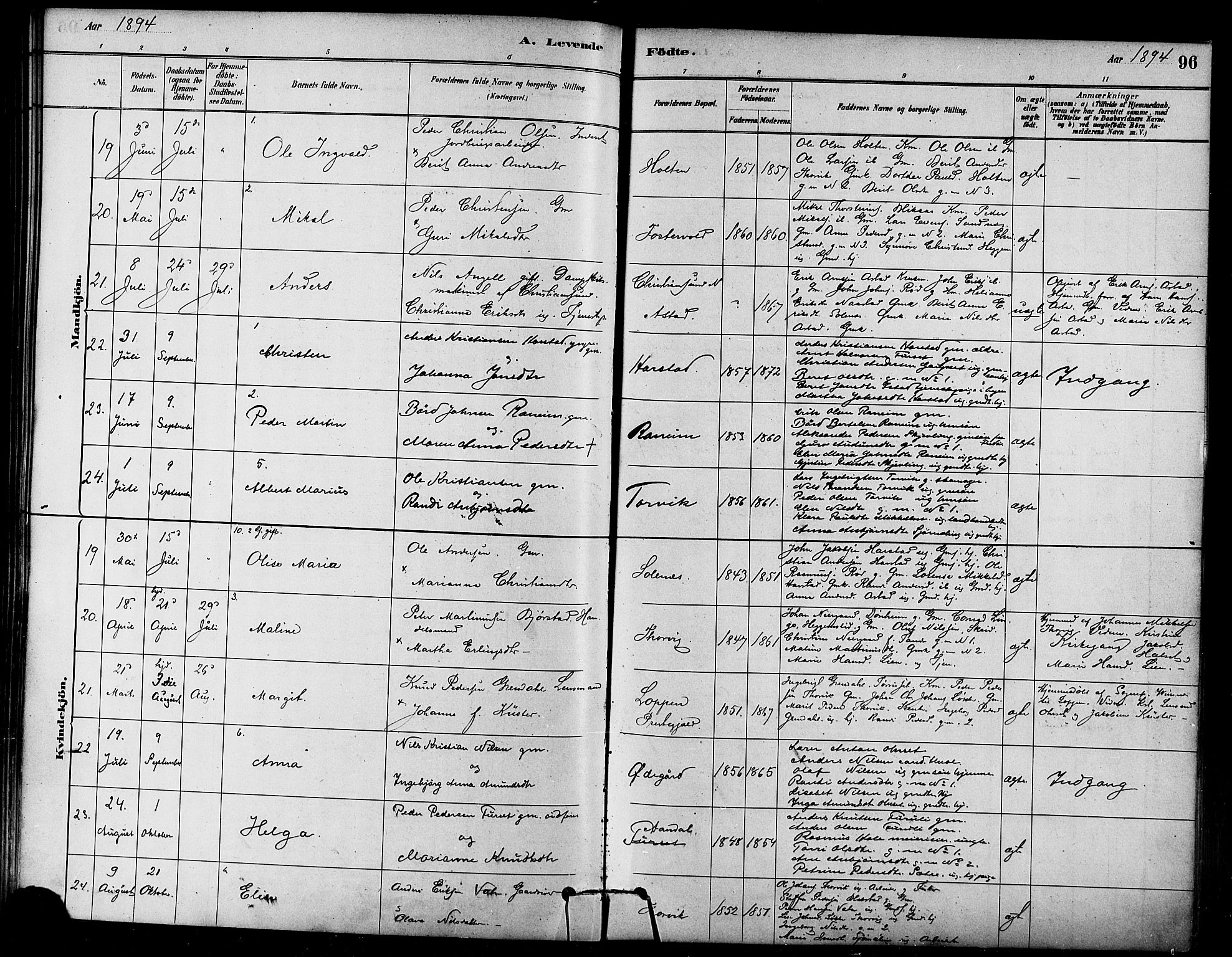 Ministerialprotokoller, klokkerbøker og fødselsregistre - Møre og Romsdal, AV/SAT-A-1454/584/L0967: Parish register (official) no. 584A07, 1879-1894, p. 96