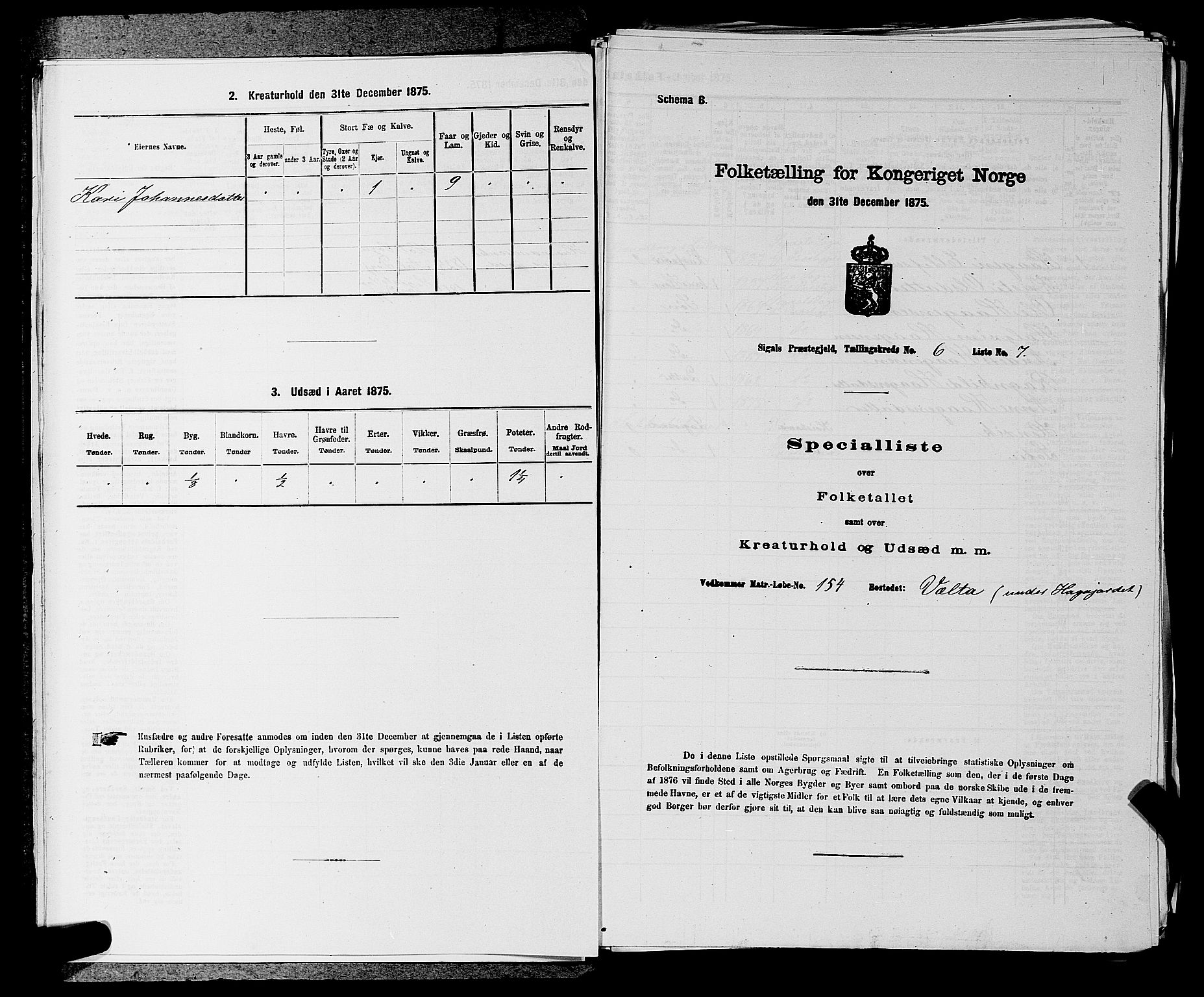 SAKO, 1875 census for 0621P Sigdal, 1875, p. 863