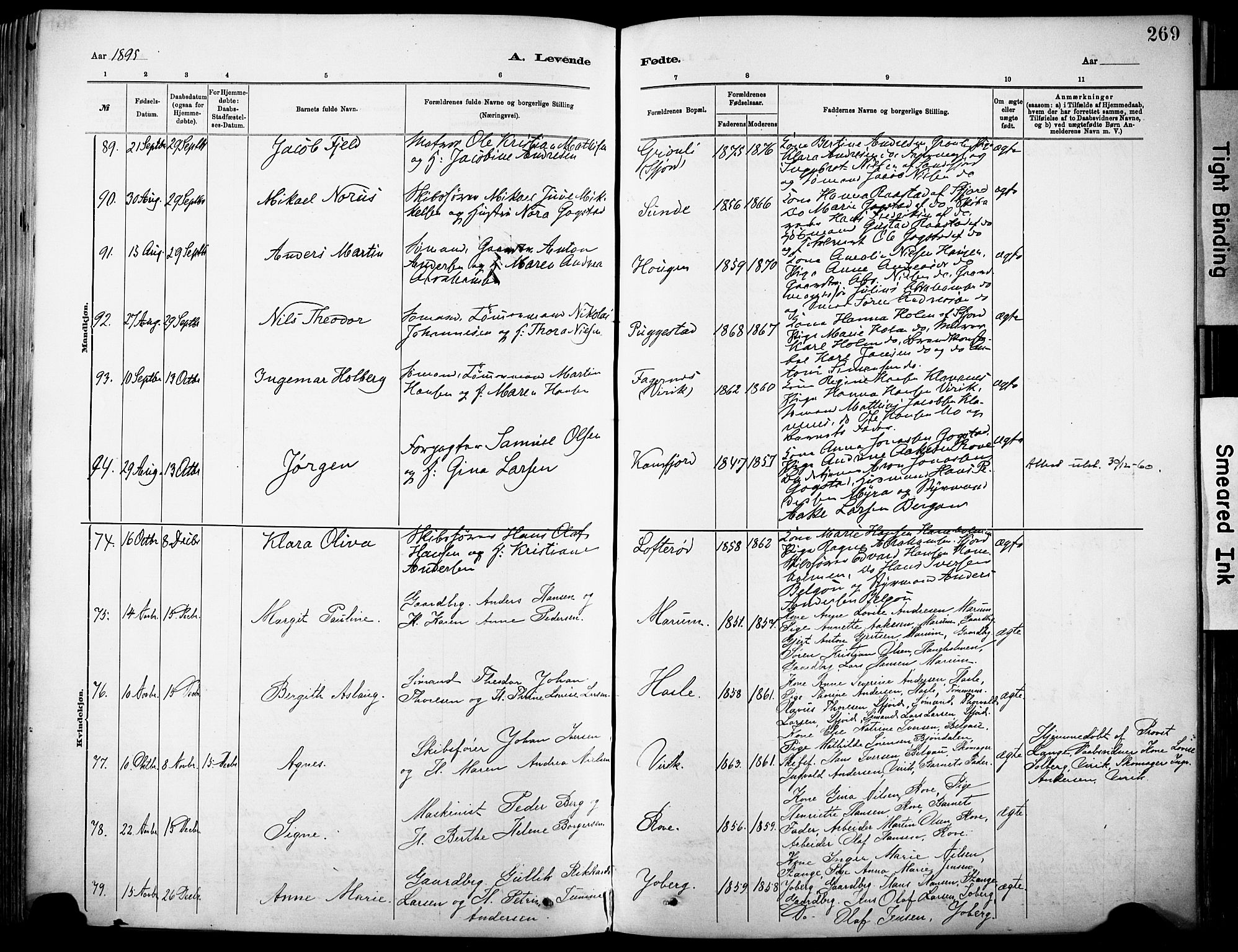 Sandar kirkebøker, AV/SAKO-A-243/F/Fa/L0012: Parish register (official) no. 12, 1883-1895, p. 269