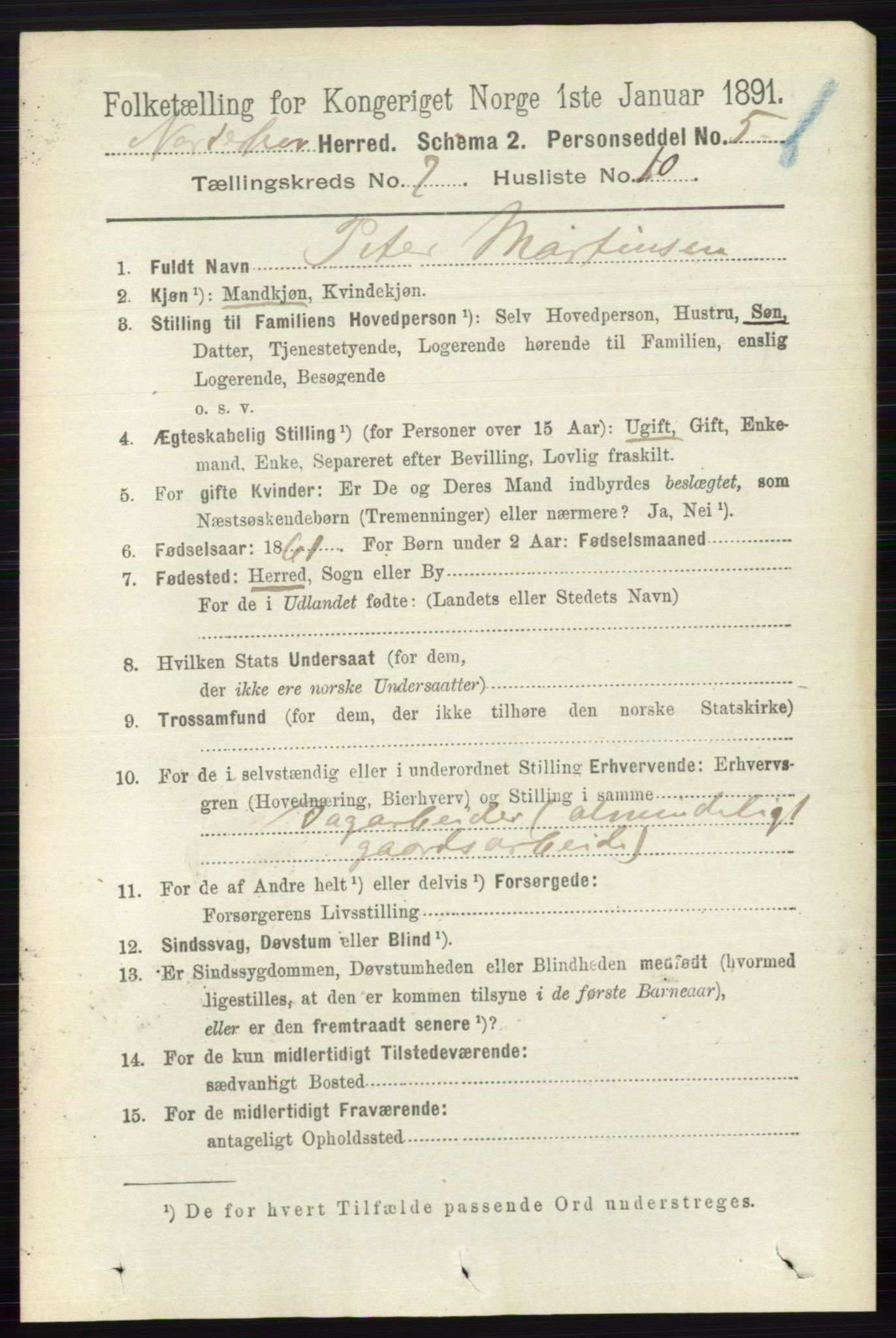 RA, 1891 census for 0613 Norderhov, 1891, p. 5163