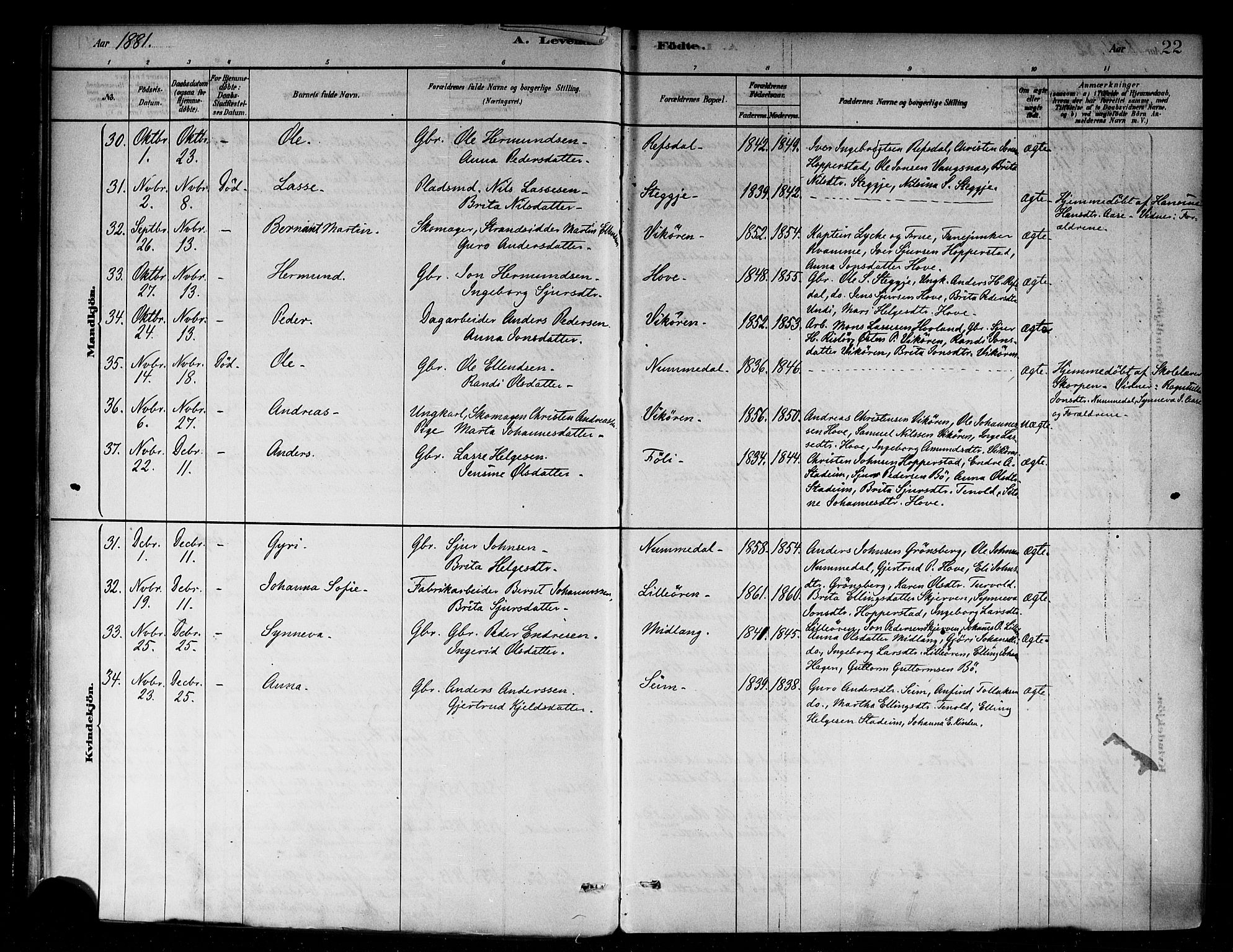 Vik sokneprestembete, AV/SAB-A-81501/H/Haa/Haab/L0001: Parish register (official) no. B 1, 1878-1890, p. 22