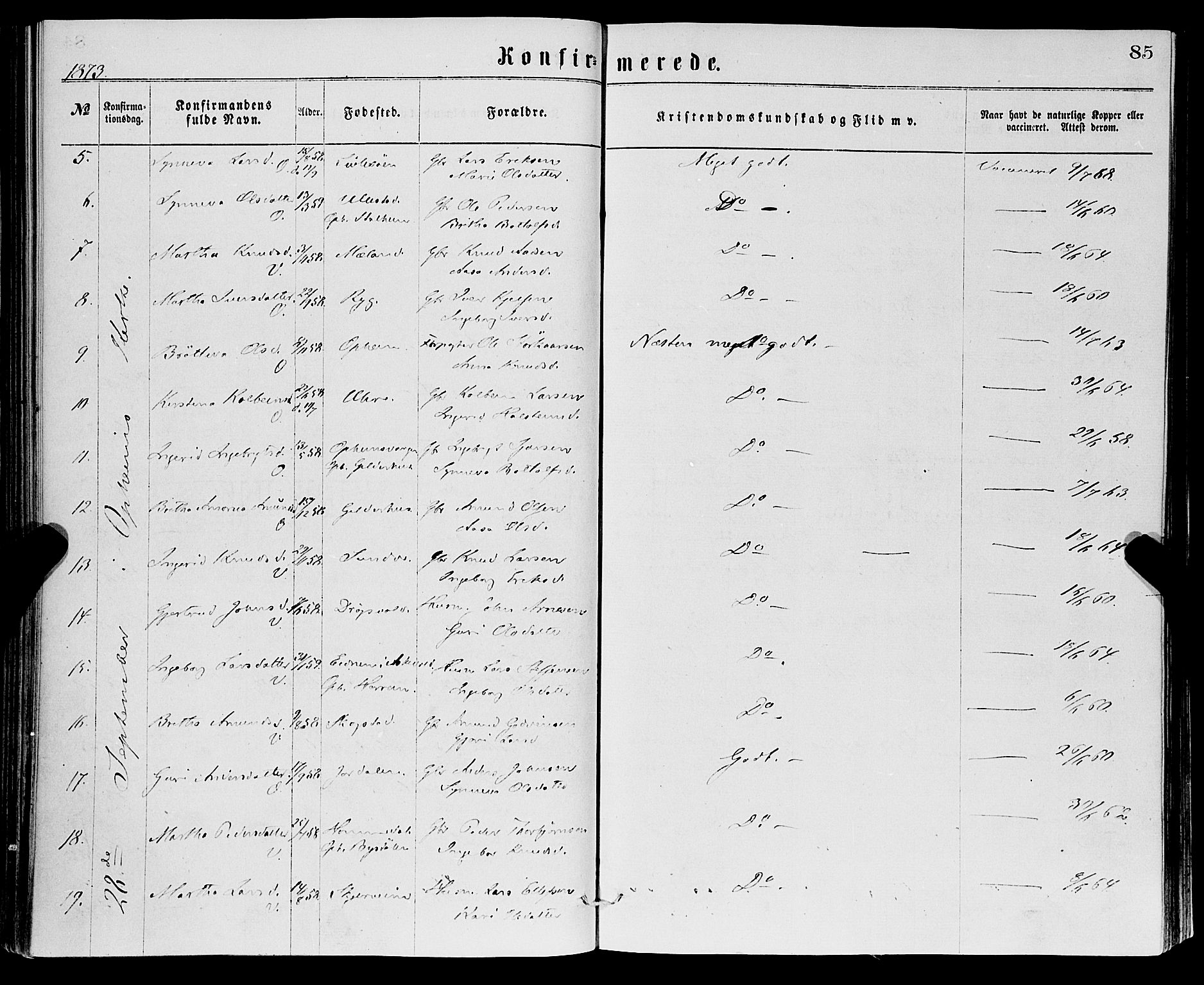 Vossestrand Sokneprestembete, AV/SAB-A-79101/H/Haa: Parish register (official) no. A 1, 1866-1877, p. 85