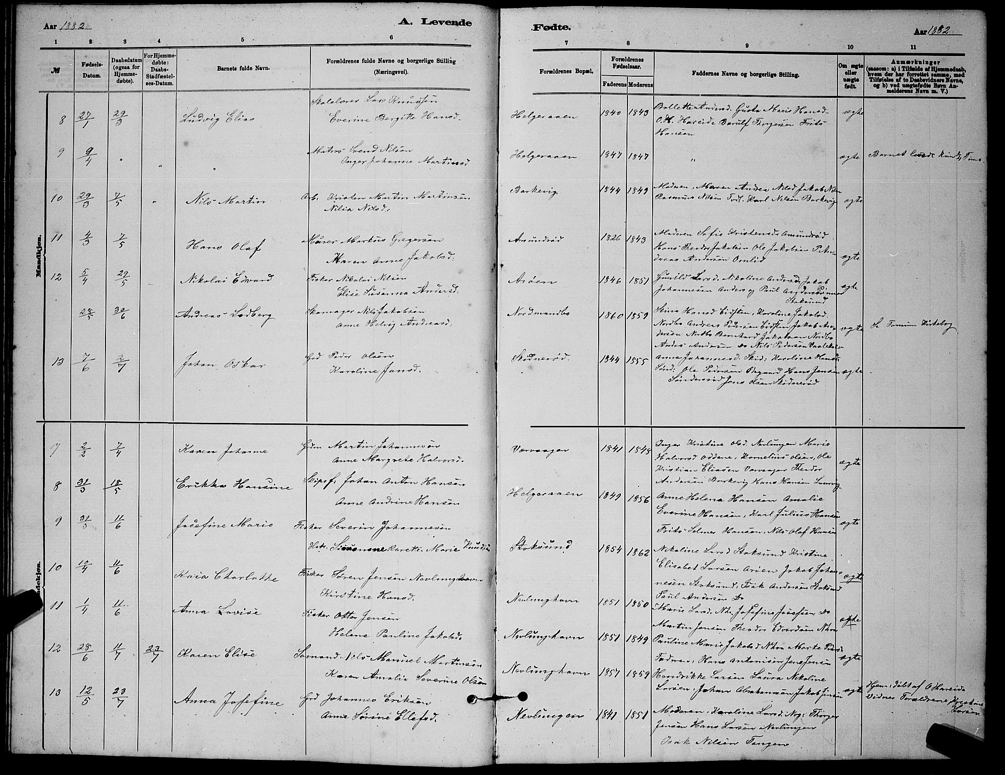 Brunlanes kirkebøker, AV/SAKO-A-342/G/Gb/L0002: Parish register (copy) no. II 2, 1878-1902