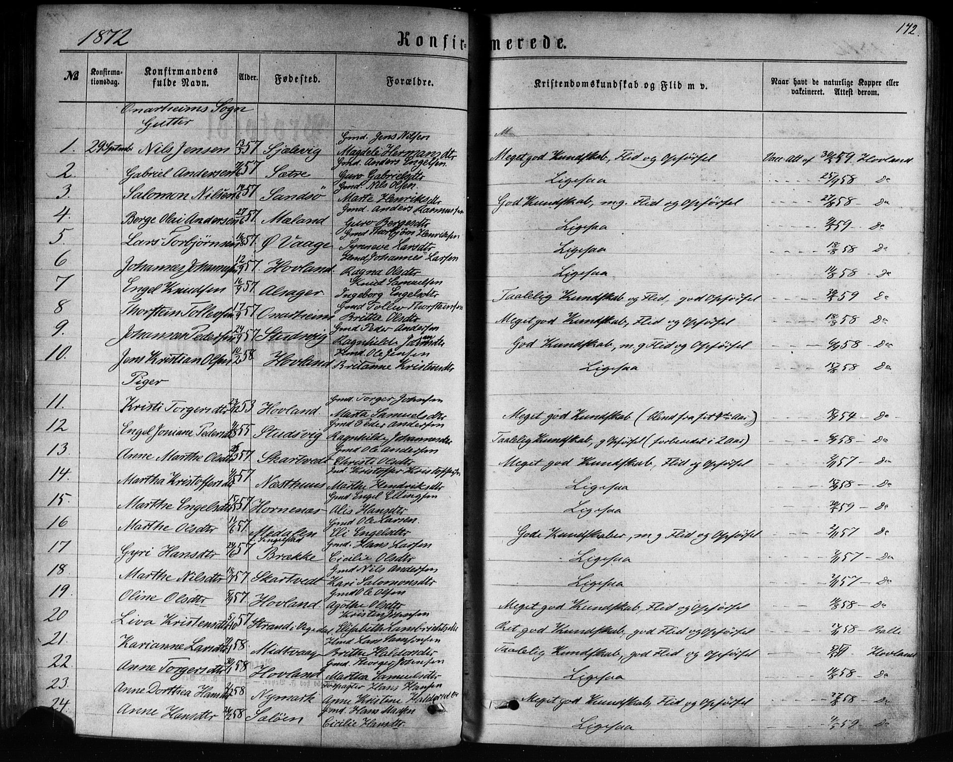 Tysnes sokneprestembete, AV/SAB-A-78601/H/Haa: Parish register (official) no. A 12, 1872-1886, p. 172