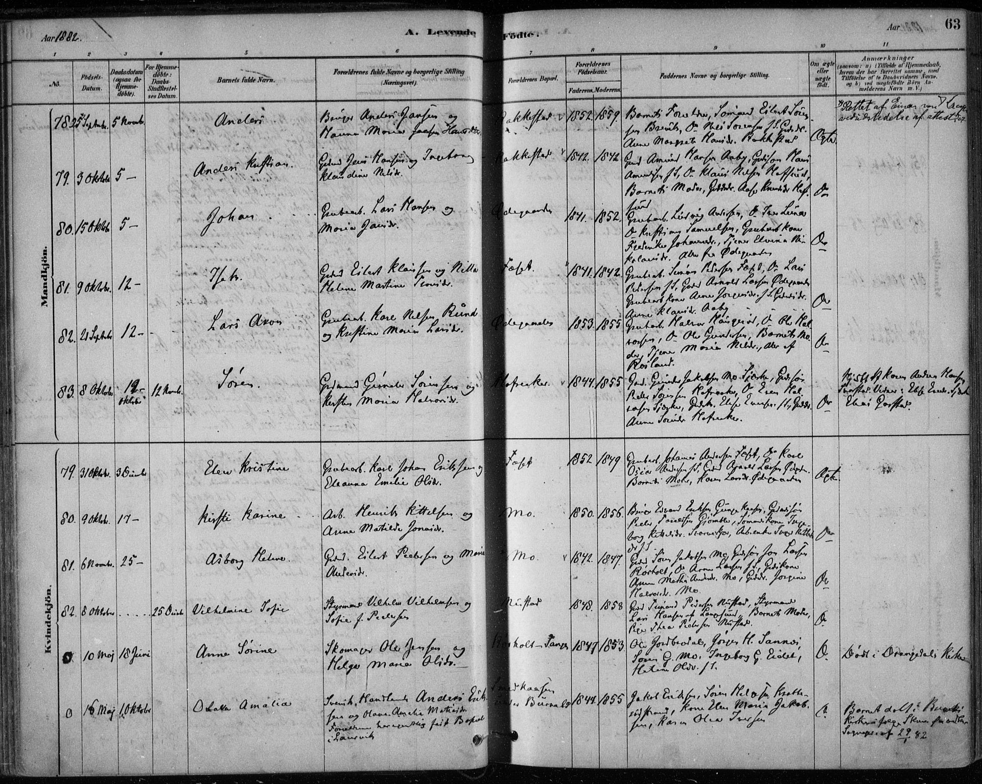 Bamble kirkebøker, AV/SAKO-A-253/F/Fa/L0007: Parish register (official) no. I 7, 1878-1888, p. 63