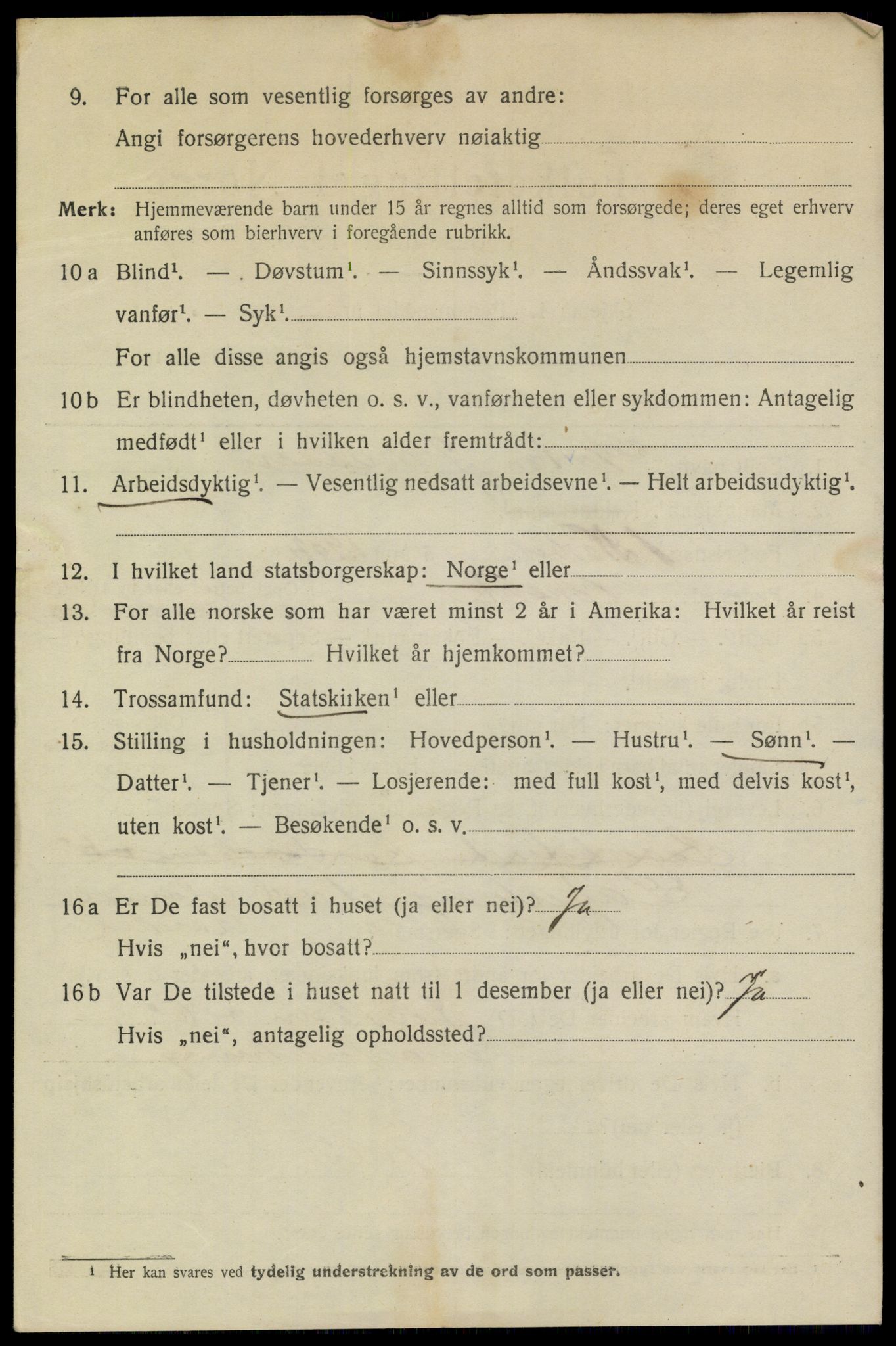 SAKO, 1920 census for Brevik, 1920, p. 3863