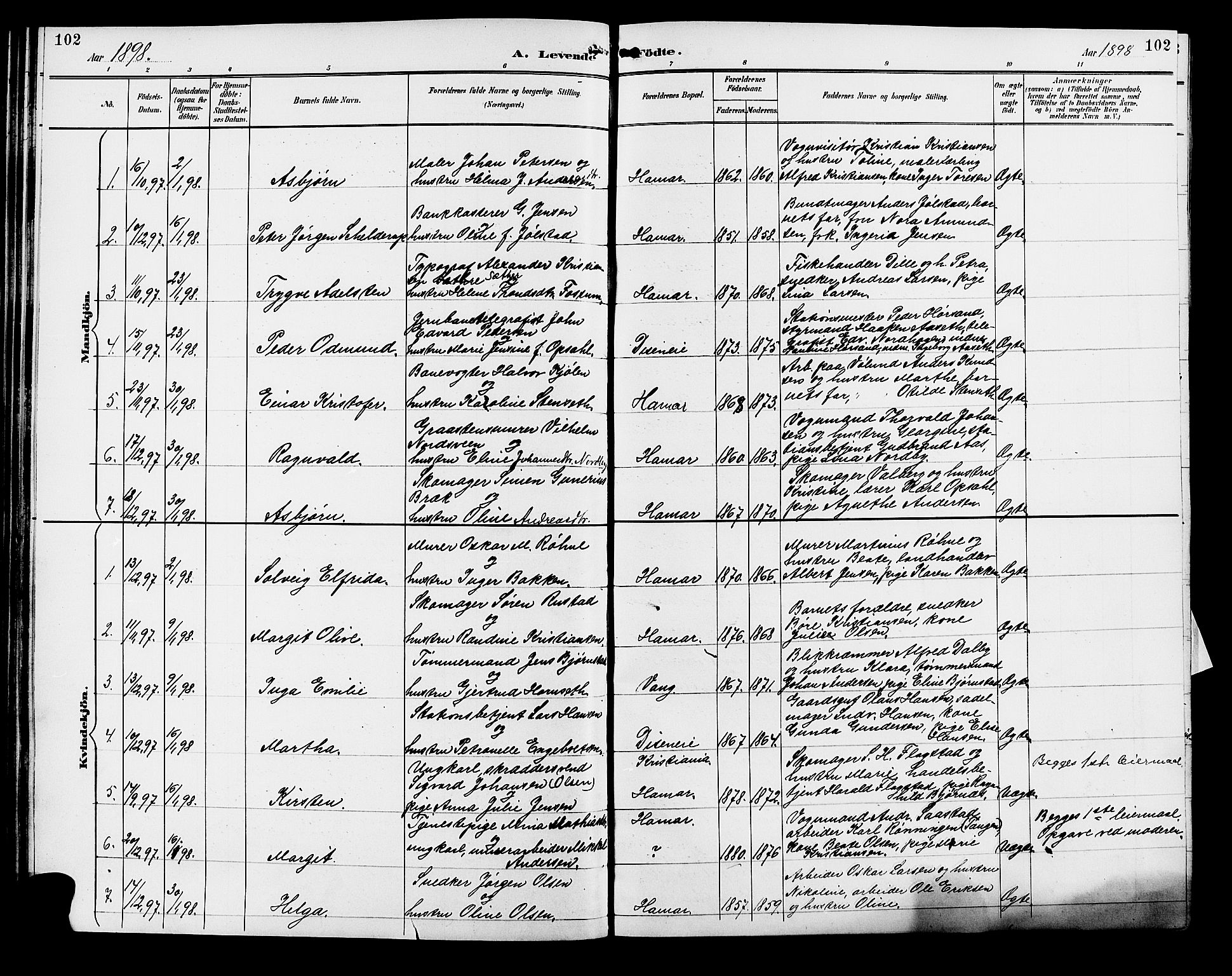 Vang prestekontor, Hedmark, SAH/PREST-008/H/Ha/Hab/L0013: Parish register (copy) no. 13, 1890-1899, p. 102