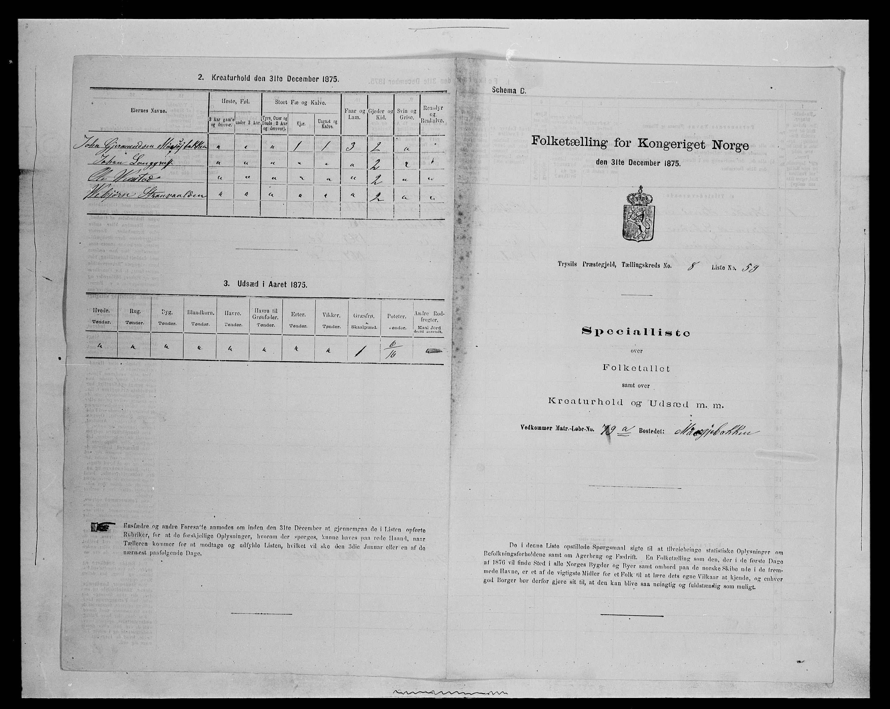 SAH, 1875 census for 0428P Trysil, 1875, p. 1072