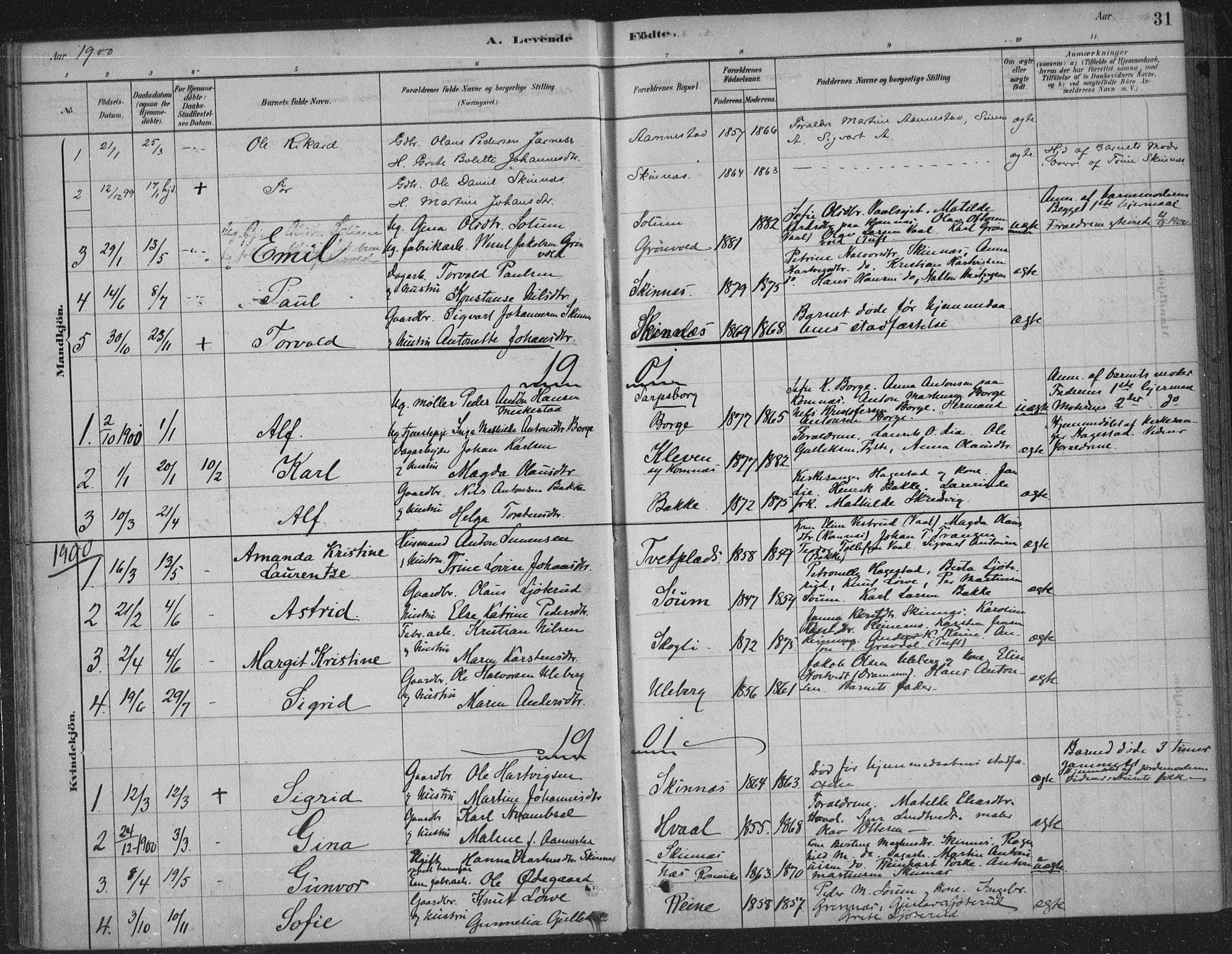 Sandsvær kirkebøker, AV/SAKO-A-244/F/Fe/L0001: Parish register (official) no. V 1, 1878-1936, p. 31