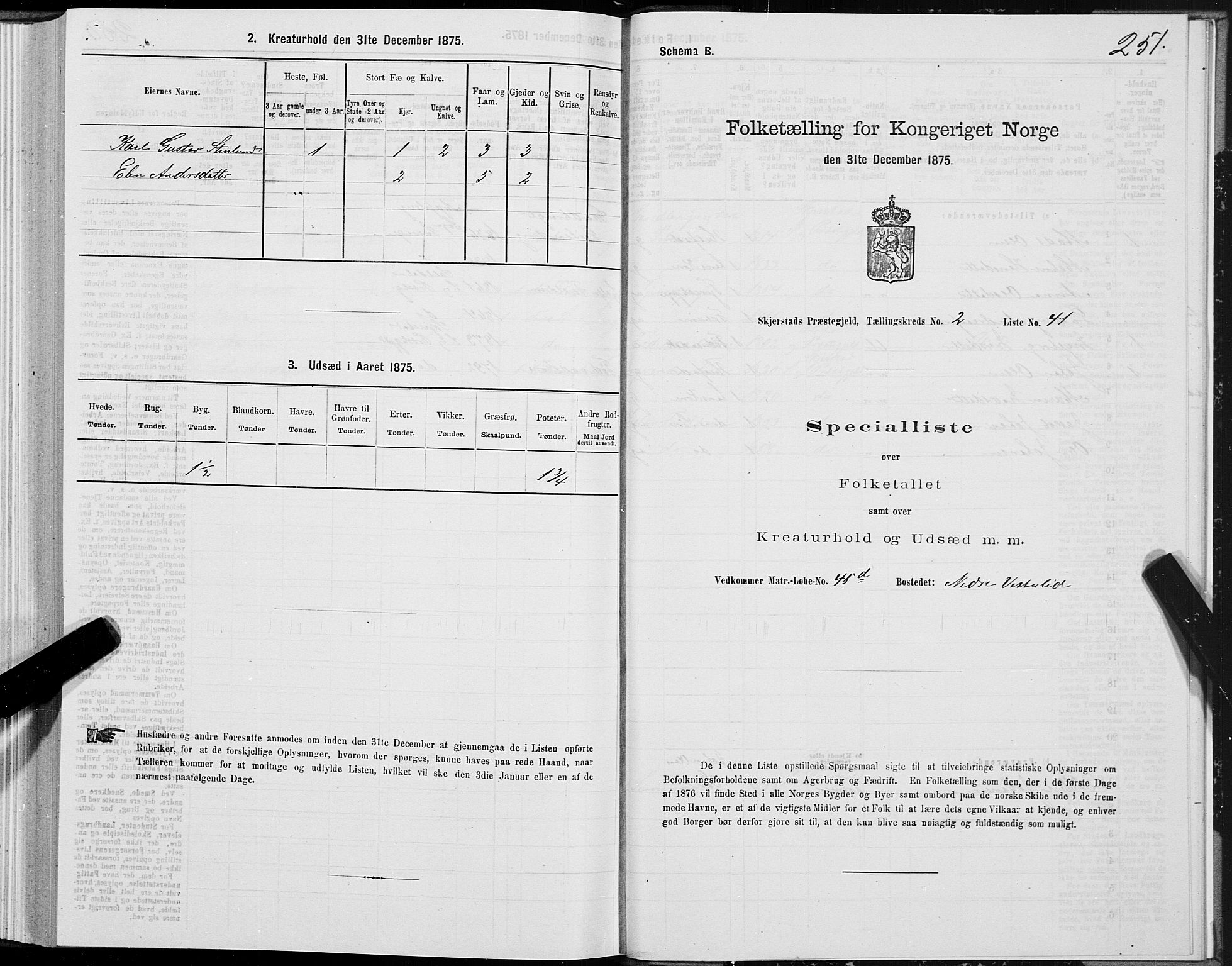 SAT, 1875 census for 1842P Skjerstad, 1875, p. 1251