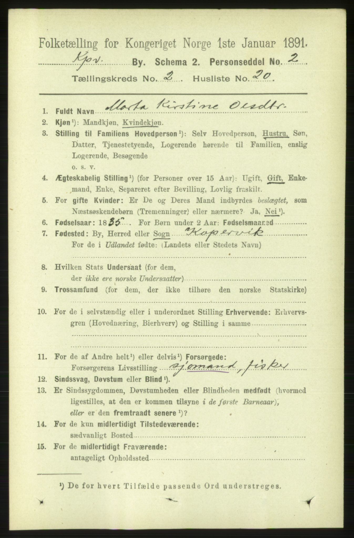 RA, 1891 census for 1105 Kopervik, 1891, p. 235