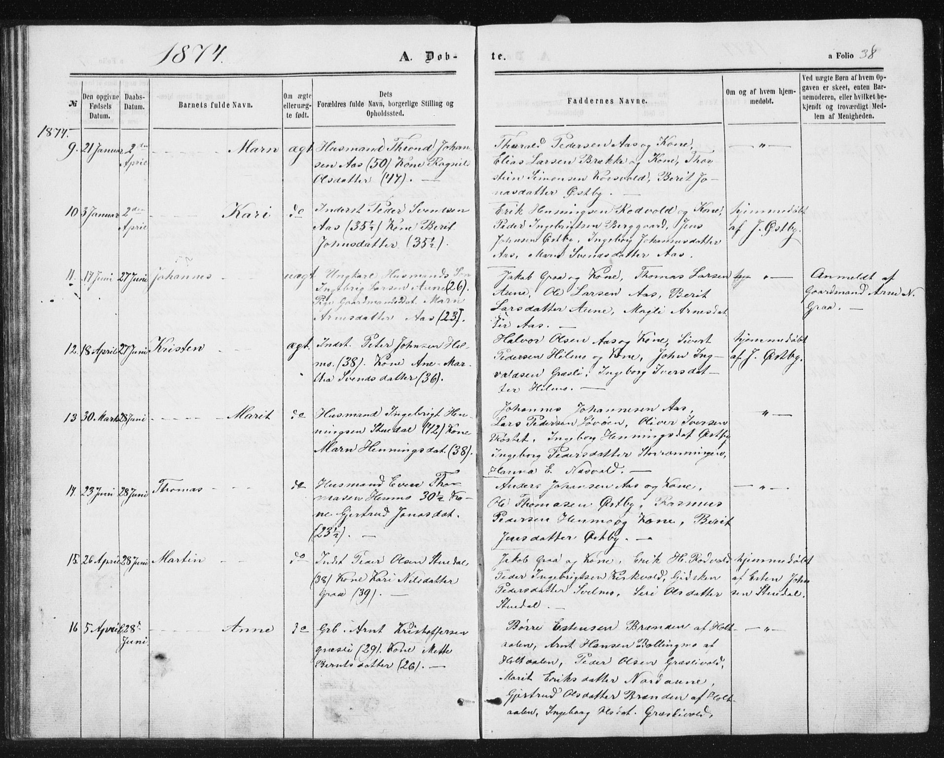 Ministerialprotokoller, klokkerbøker og fødselsregistre - Sør-Trøndelag, AV/SAT-A-1456/698/L1166: Parish register (copy) no. 698C03, 1861-1887, p. 38