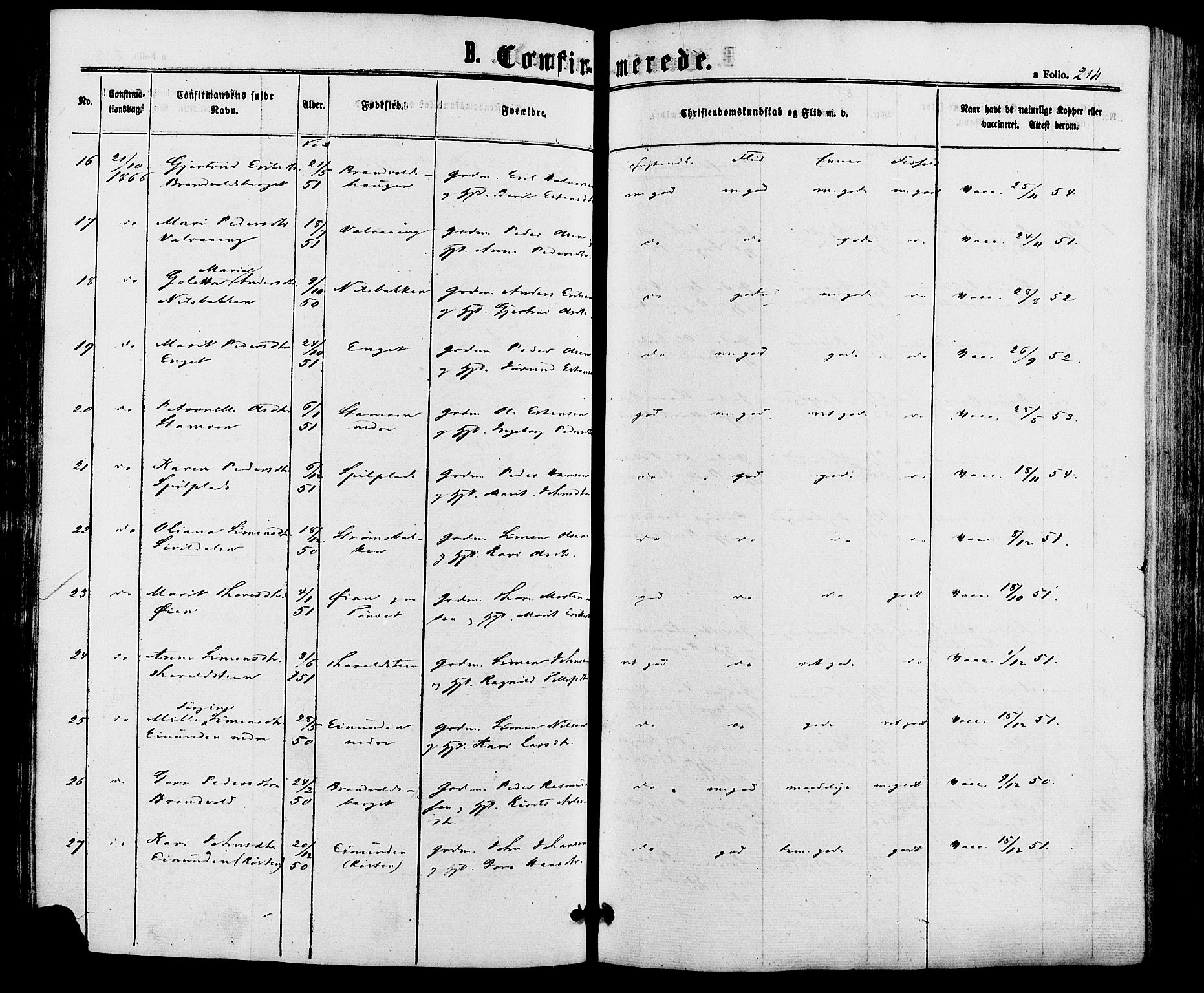 Alvdal prestekontor, AV/SAH-PREST-060/H/Ha/Haa/L0001: Parish register (official) no. 1, 1863-1882, p. 214