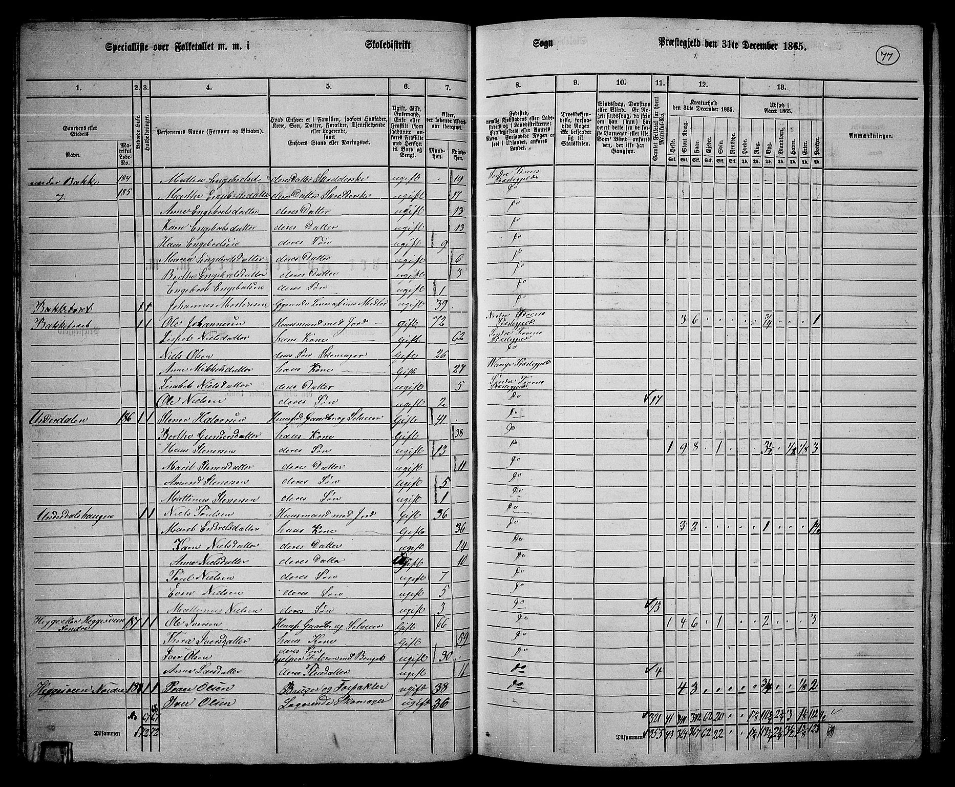 RA, 1865 census for Sør-Fron, 1865, p. 64