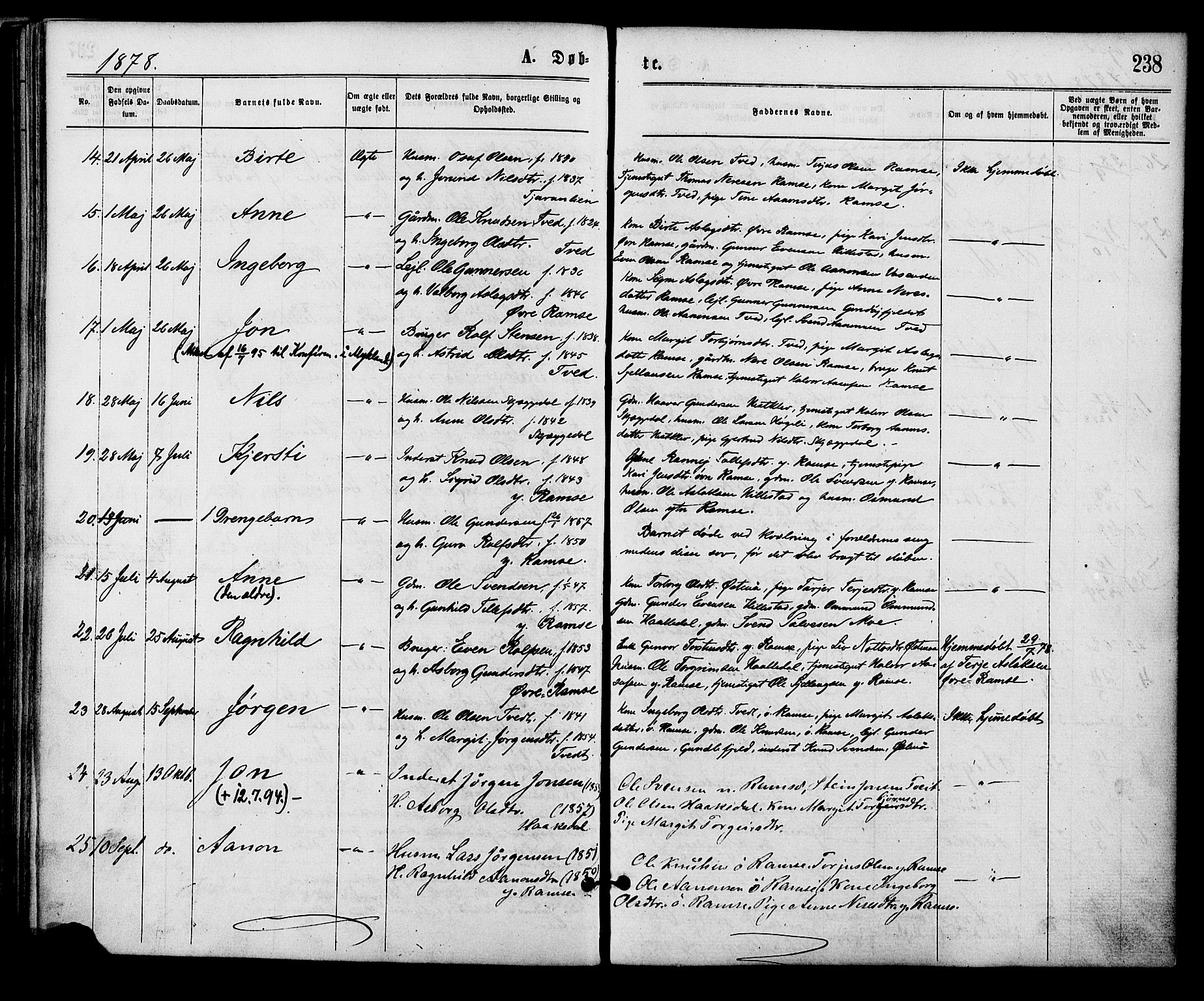 Åmli sokneprestkontor, SAK/1111-0050/F/Fa/Fac/L0009: Parish register (official) no. A 9 /3, 1869-1884, p. 238