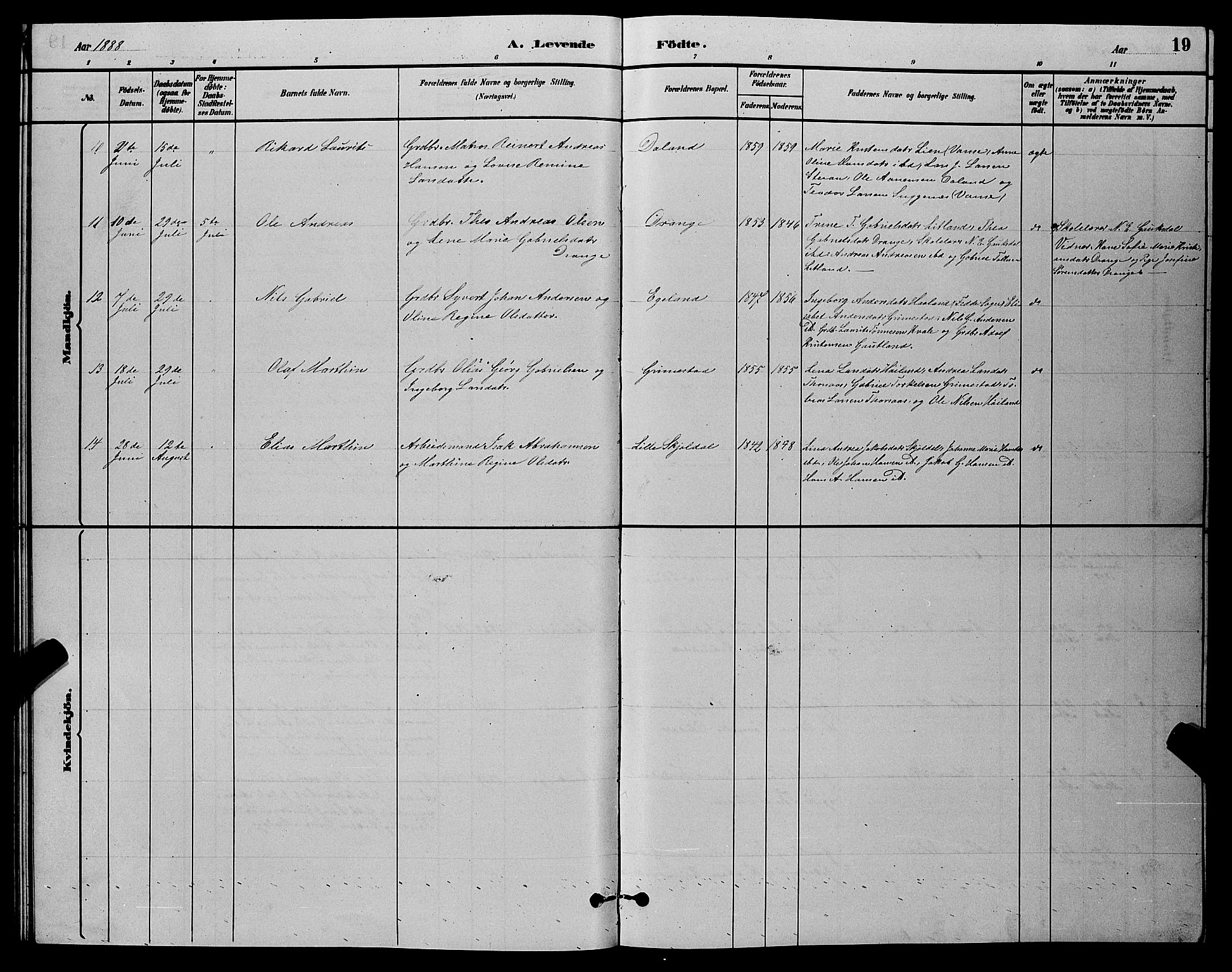 Herad sokneprestkontor, AV/SAK-1111-0018/F/Fb/Fba/L0004: Parish register (copy) no. B 4, 1882-1899, p. 19