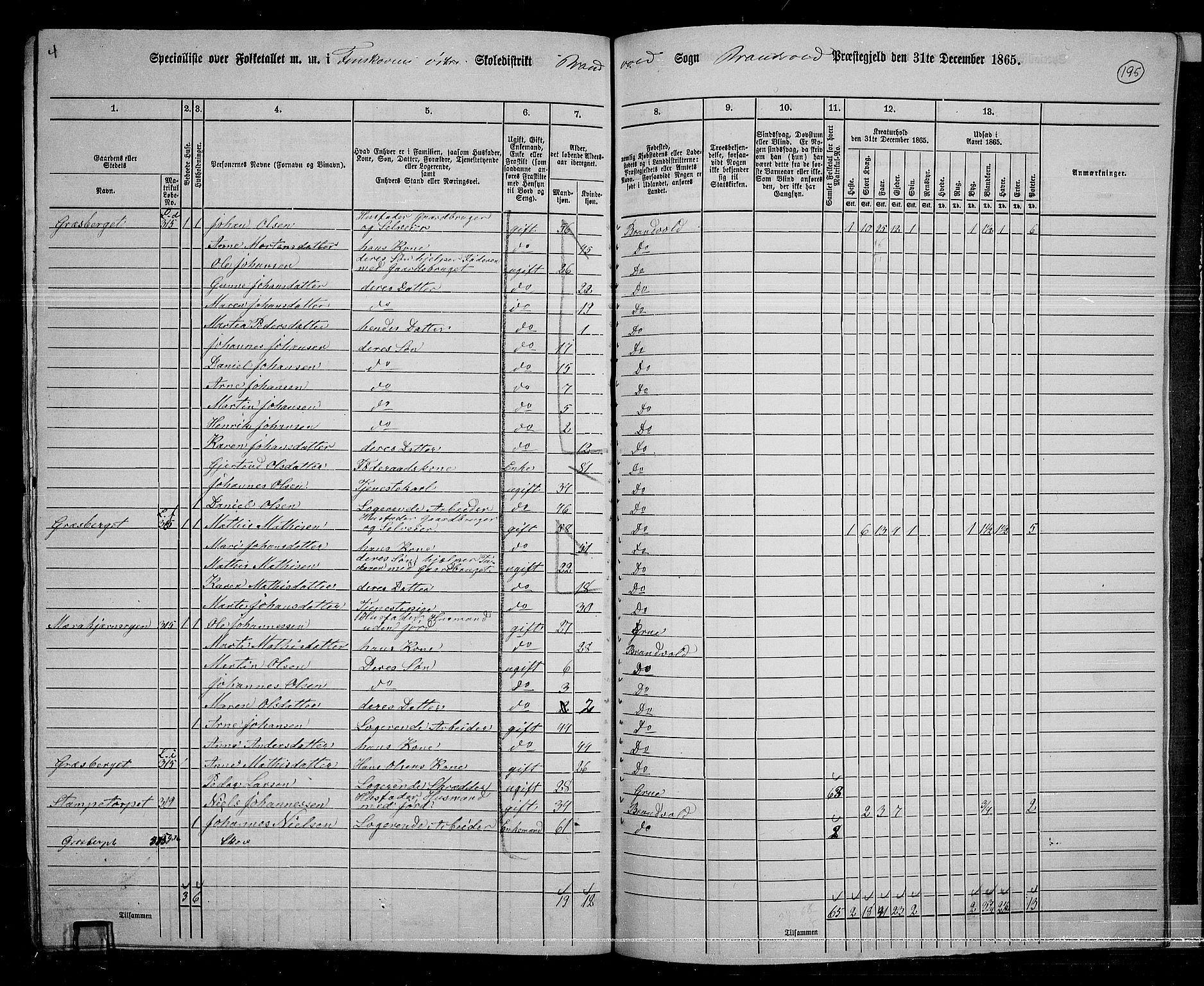 RA, 1865 census for Brandval, 1865, p. 163