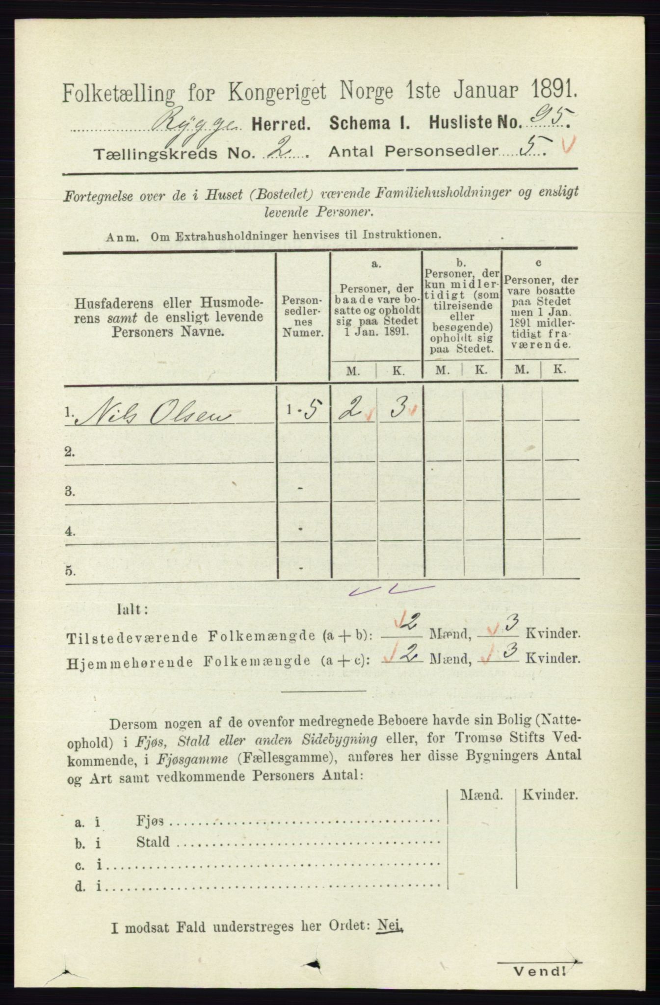 RA, 1891 census for 0136 Rygge, 1891, p. 1004