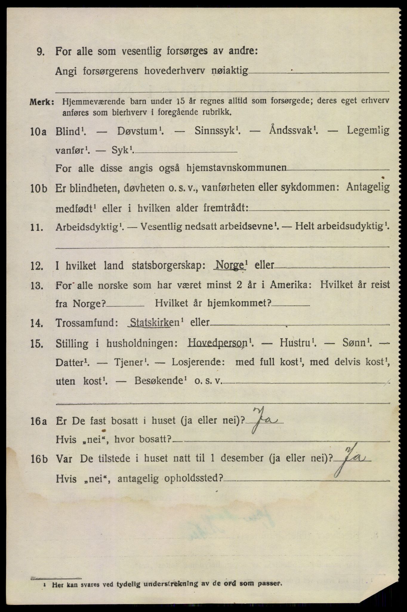 SAKO, 1920 census for Våle, 1920, p. 6569