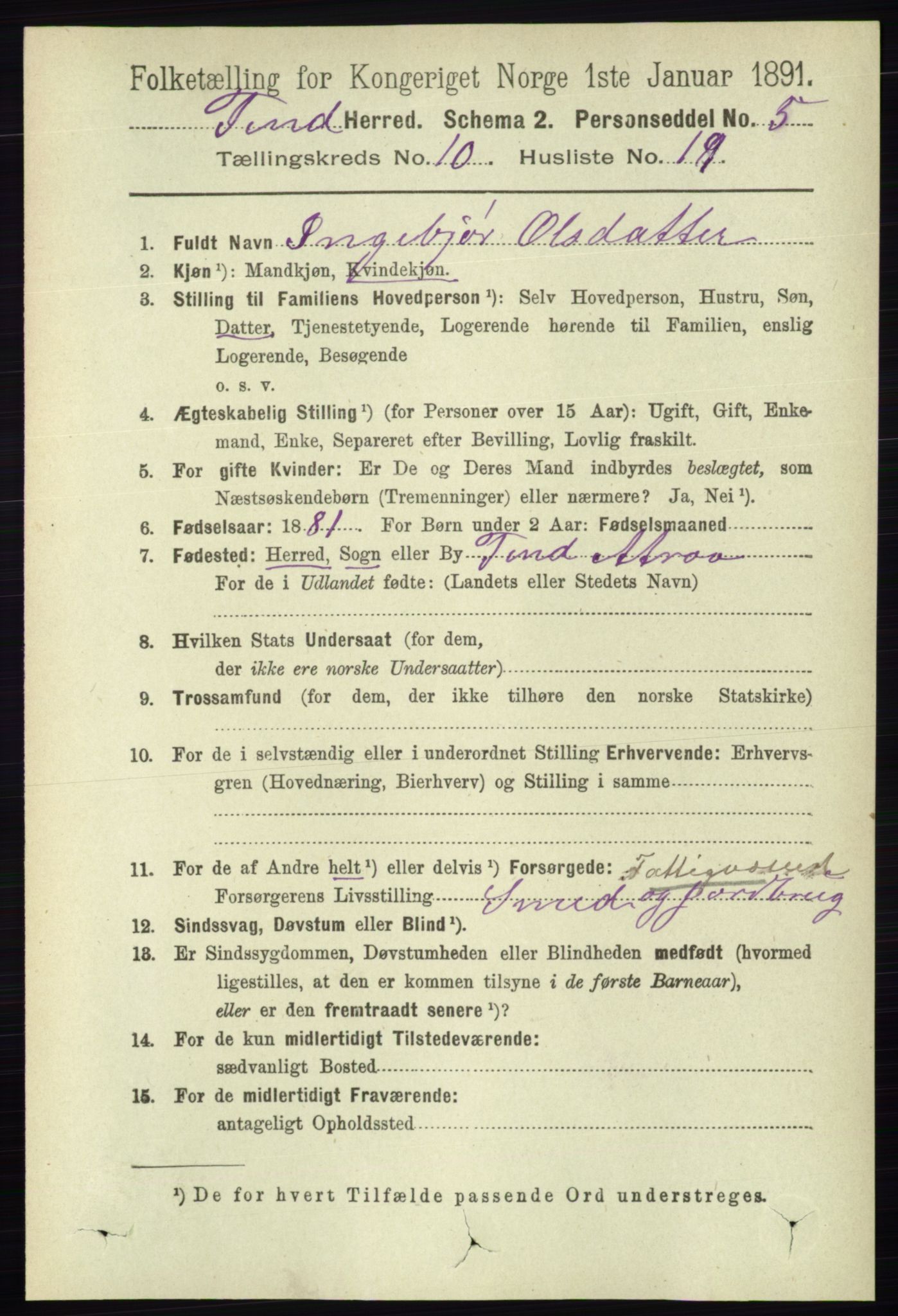 RA, 1891 census for 0826 Tinn, 1891, p. 2065