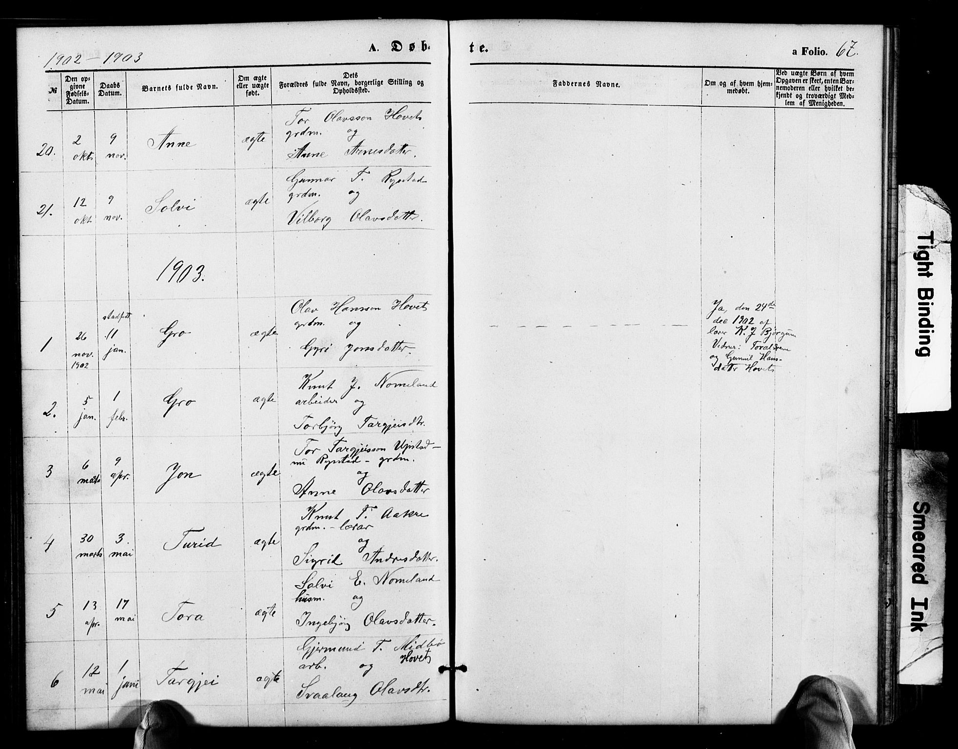 Valle sokneprestkontor, SAK/1111-0044/F/Fb/Fbb/L0002: Parish register (copy) no. B 2, 1875-1921, p. 67