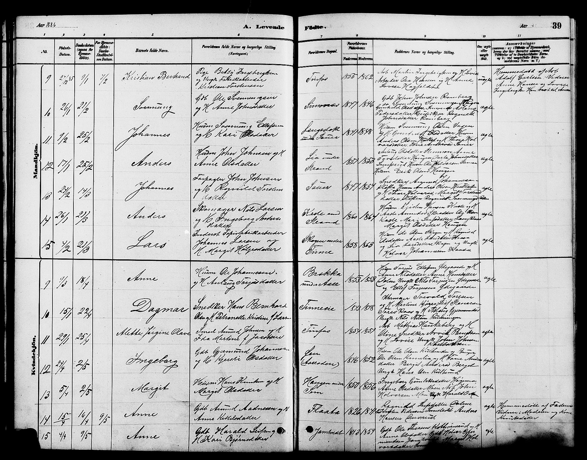 Heddal kirkebøker, SAKO/A-268/G/Ga/L0002: Parish register (copy) no. I 2, 1879-1908, p. 39