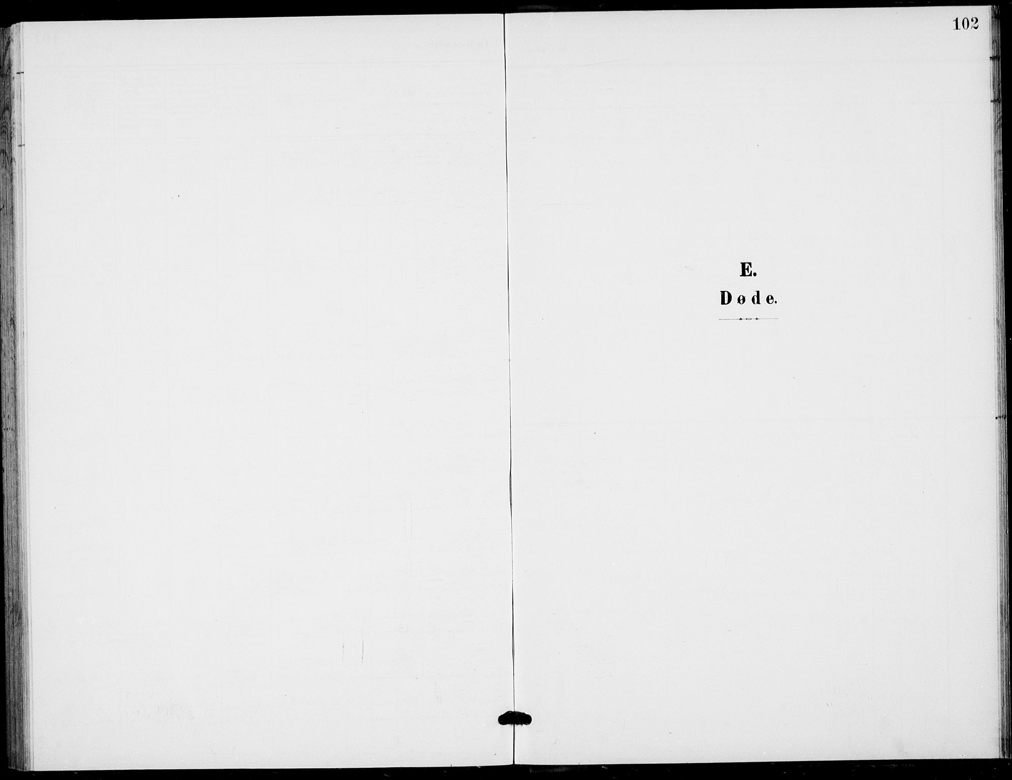 Flesberg kirkebøker, SAKO/A-18/G/Ga/L0005: Parish register (copy) no. I 5, 1899-1908, p. 102
