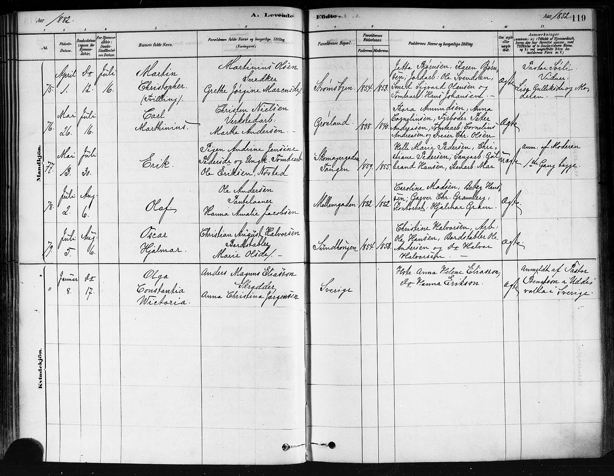 Strømsø kirkebøker, SAKO/A-246/F/Fa/L0021: Parish register (official) no. I 21, 1878-1885, p. 119