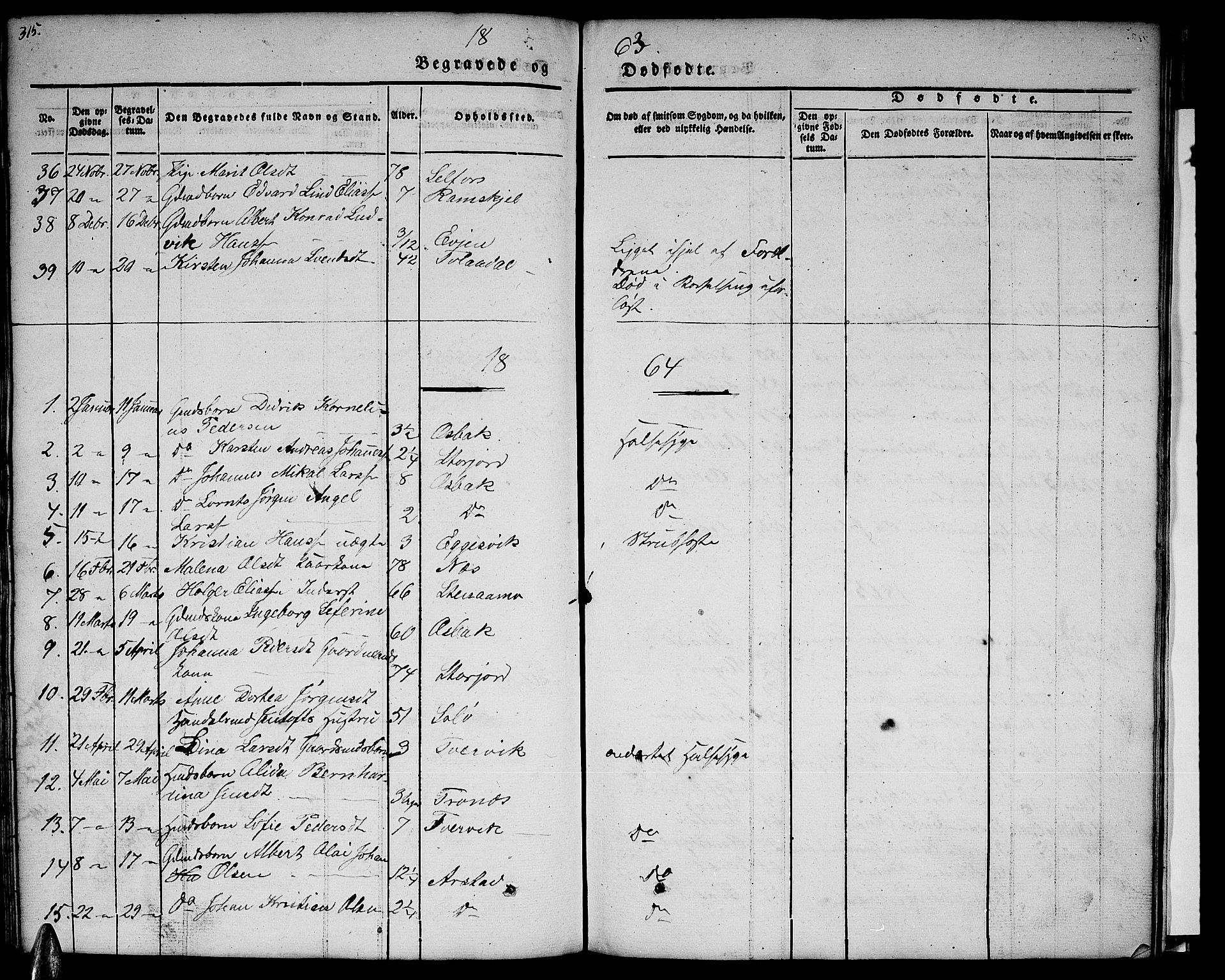 Ministerialprotokoller, klokkerbøker og fødselsregistre - Nordland, AV/SAT-A-1459/846/L0652: Parish register (copy) no. 846C02, 1841-1871, p. 315