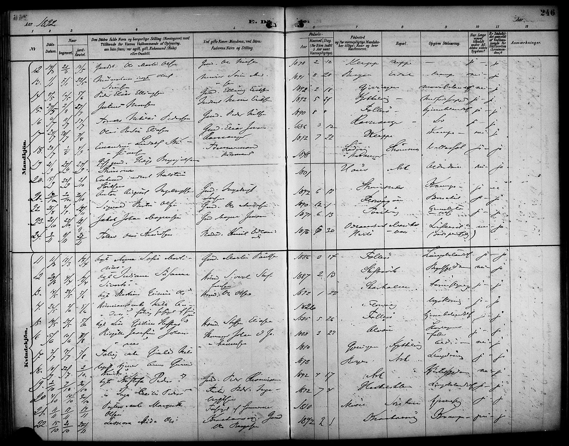 Askøy Sokneprestembete, SAB/A-74101/H/Ha/Haa/Haab/L0002: Parish register (official) no. B 2, 1889-1902, p. 246