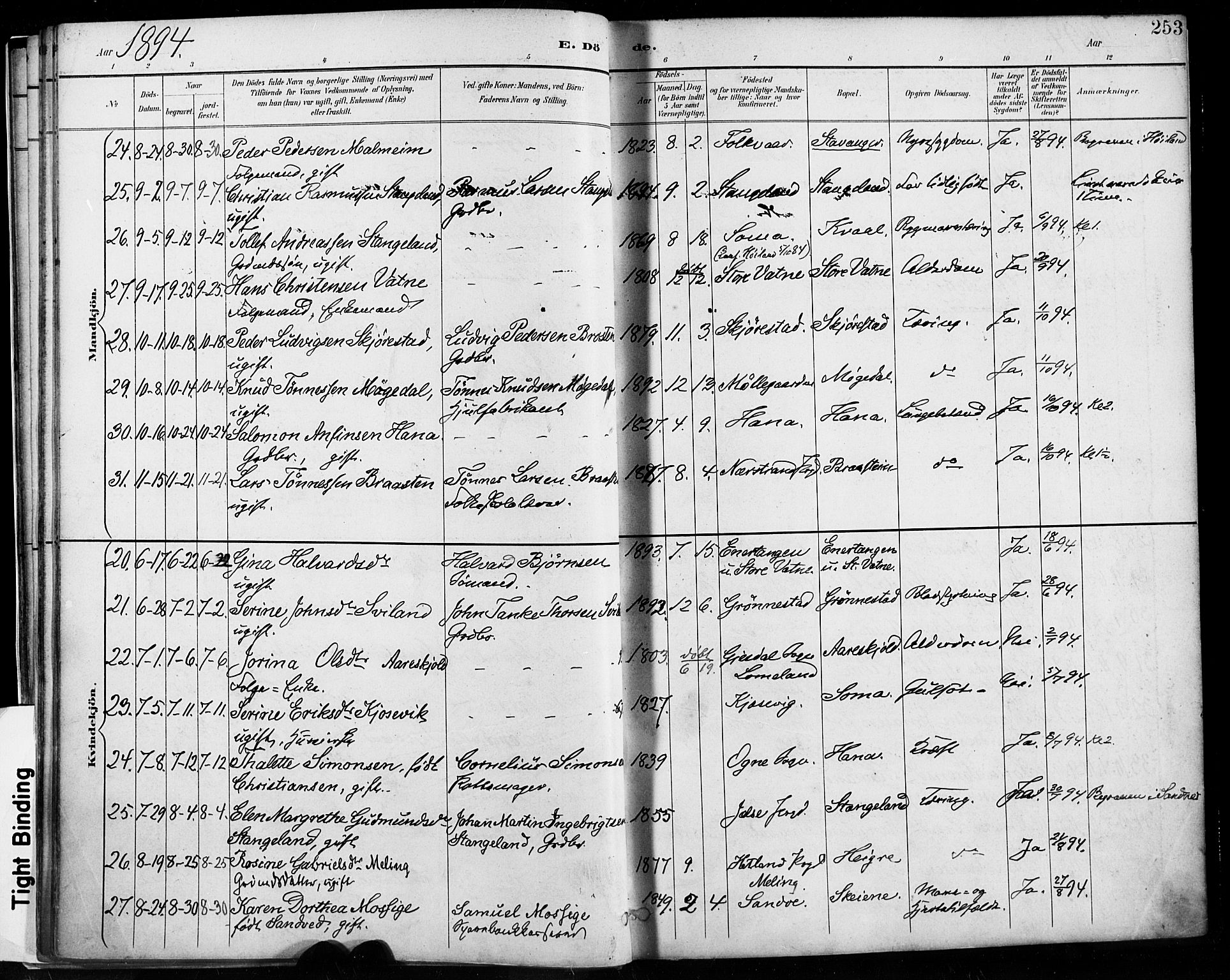 Høyland sokneprestkontor, SAST/A-101799/001/30BA/L0013: Parish register (official) no. A 13.2, 1889-1898, p. 253