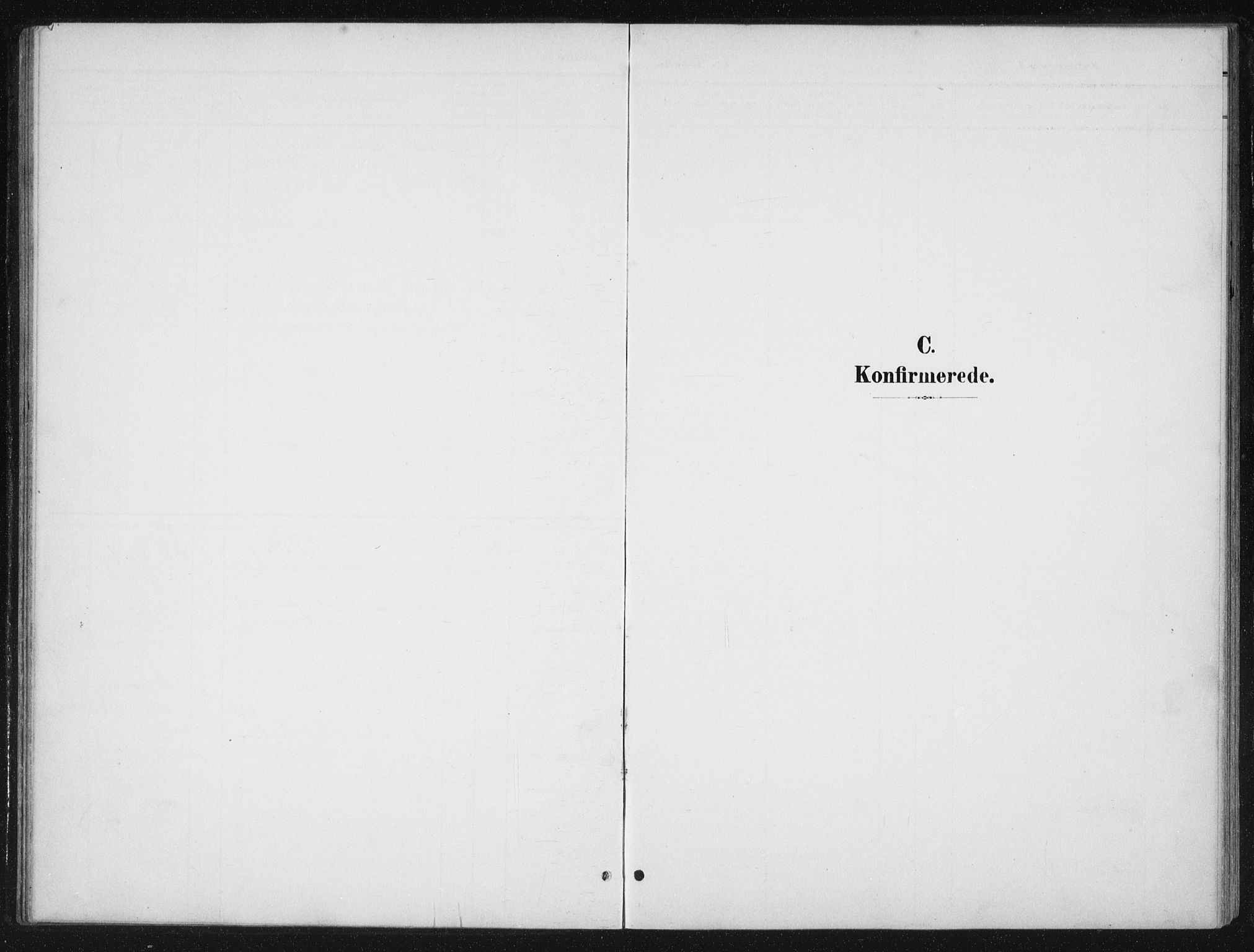 Ministerialprotokoller, klokkerbøker og fødselsregistre - Nordland, SAT/A-1459/840/L0583: Parish register (copy) no. 840C03, 1901-1933