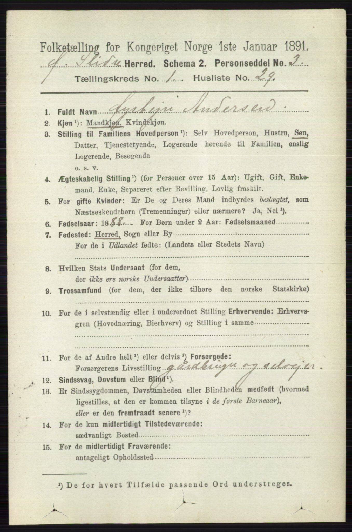 RA, 1891 census for 0544 Øystre Slidre, 1891, p. 214