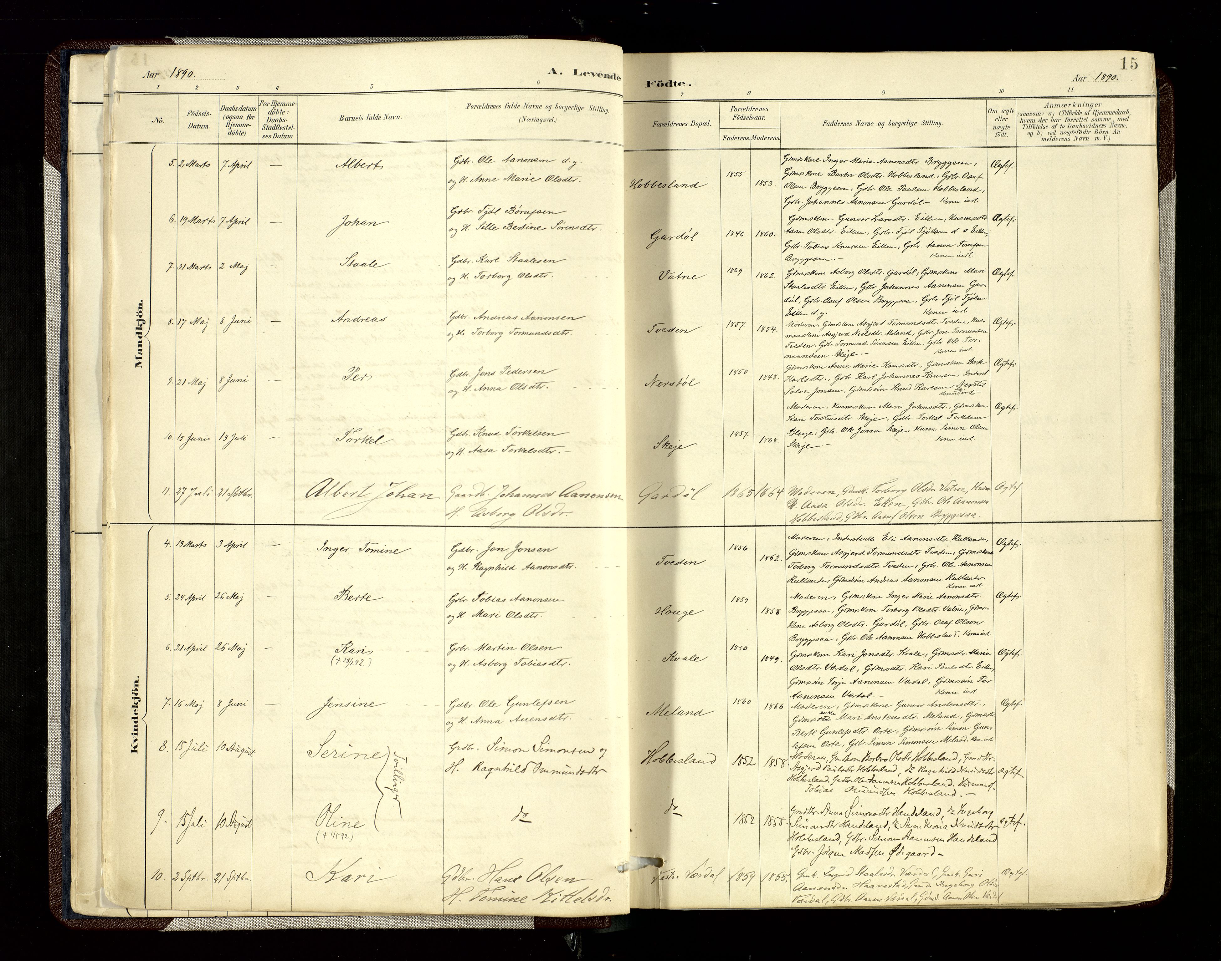 Hægebostad sokneprestkontor, SAK/1111-0024/F/Fa/Fab/L0004: Parish register (official) no. A 4, 1887-1929, p. 15