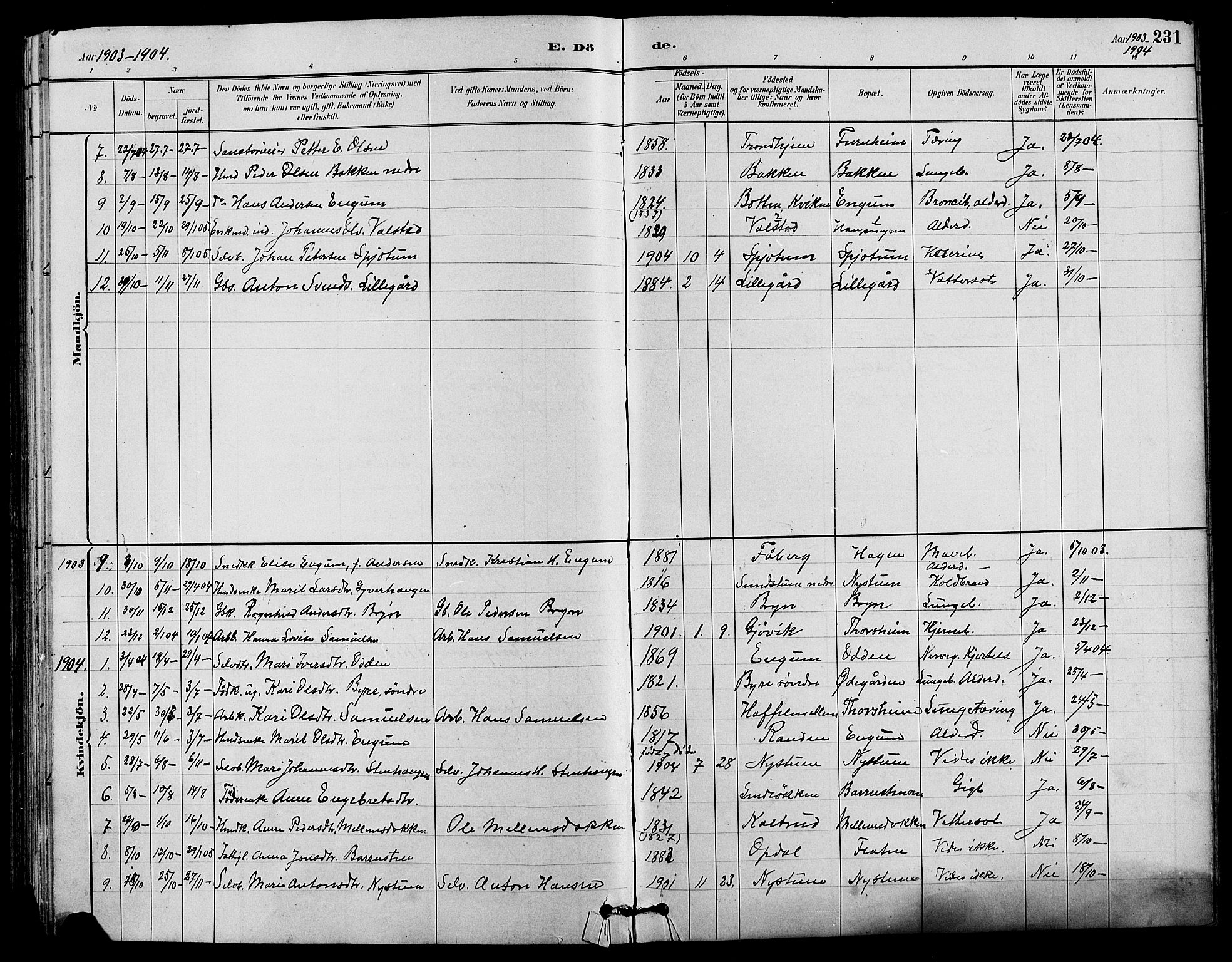 Nord-Fron prestekontor, SAH/PREST-080/H/Ha/Hab/L0004: Parish register (copy) no. 4, 1884-1914, p. 231