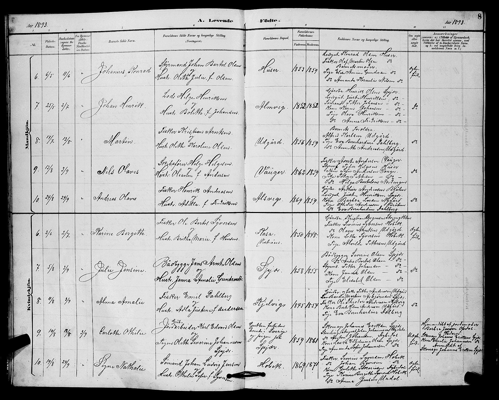 Hvaler prestekontor Kirkebøker, AV/SAO-A-2001/G/Gb/L0001: Parish register (copy) no. II 1, 1892-1904, p. 8