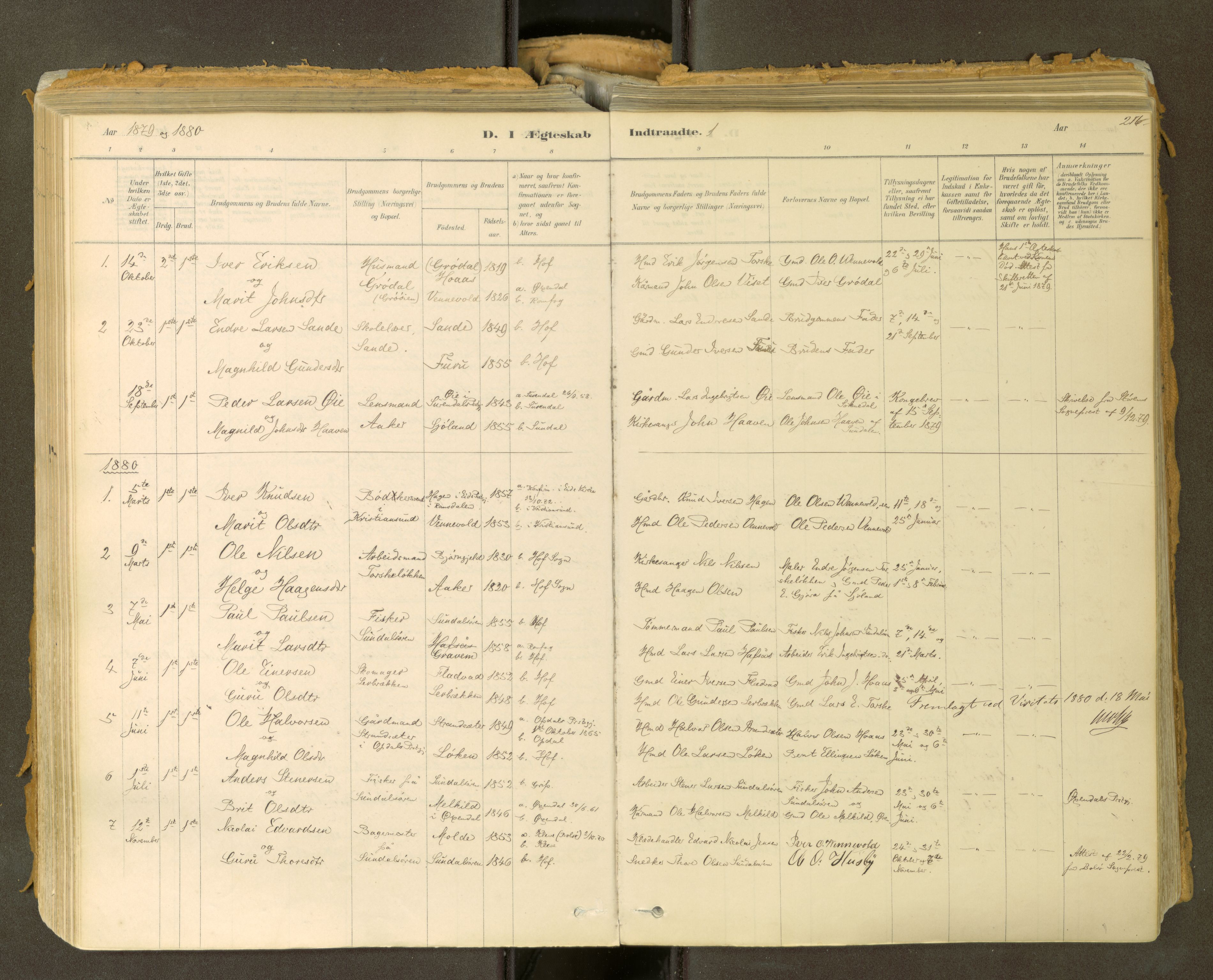Sunndal sokneprestkontor, SAT/A-1085/1/I/I1/I1a: Parish register (official) no. 2, 1877-1914, p. 216