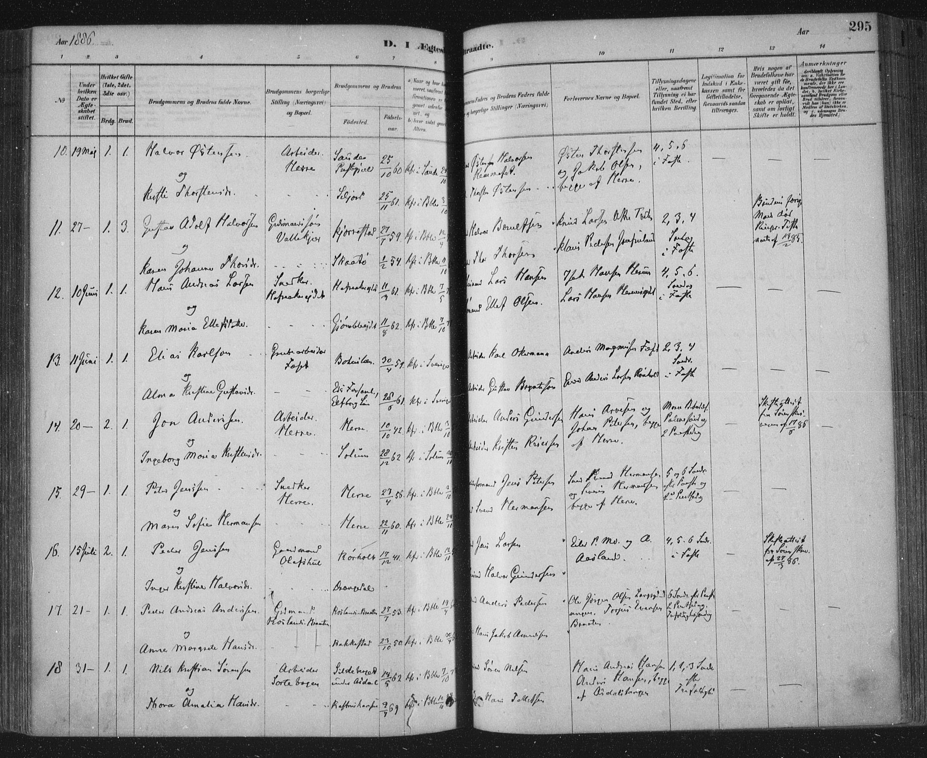 Bamble kirkebøker, SAKO/A-253/F/Fa/L0007: Parish register (official) no. I 7, 1878-1888, p. 295